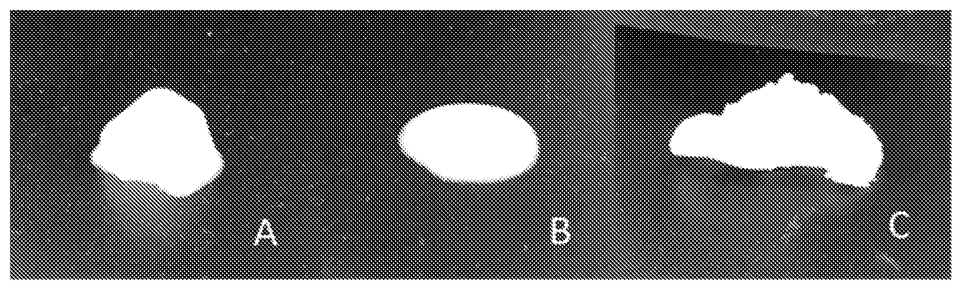 Patent US12342833 — One step procedure for producing a protein oleogel — Figure 1