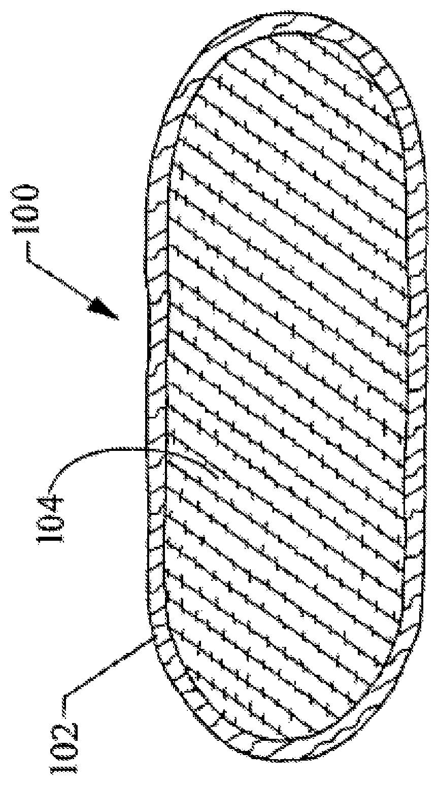 Patent US12342847 Figure 1 – Oral product with cellulosic flavor stabilizer