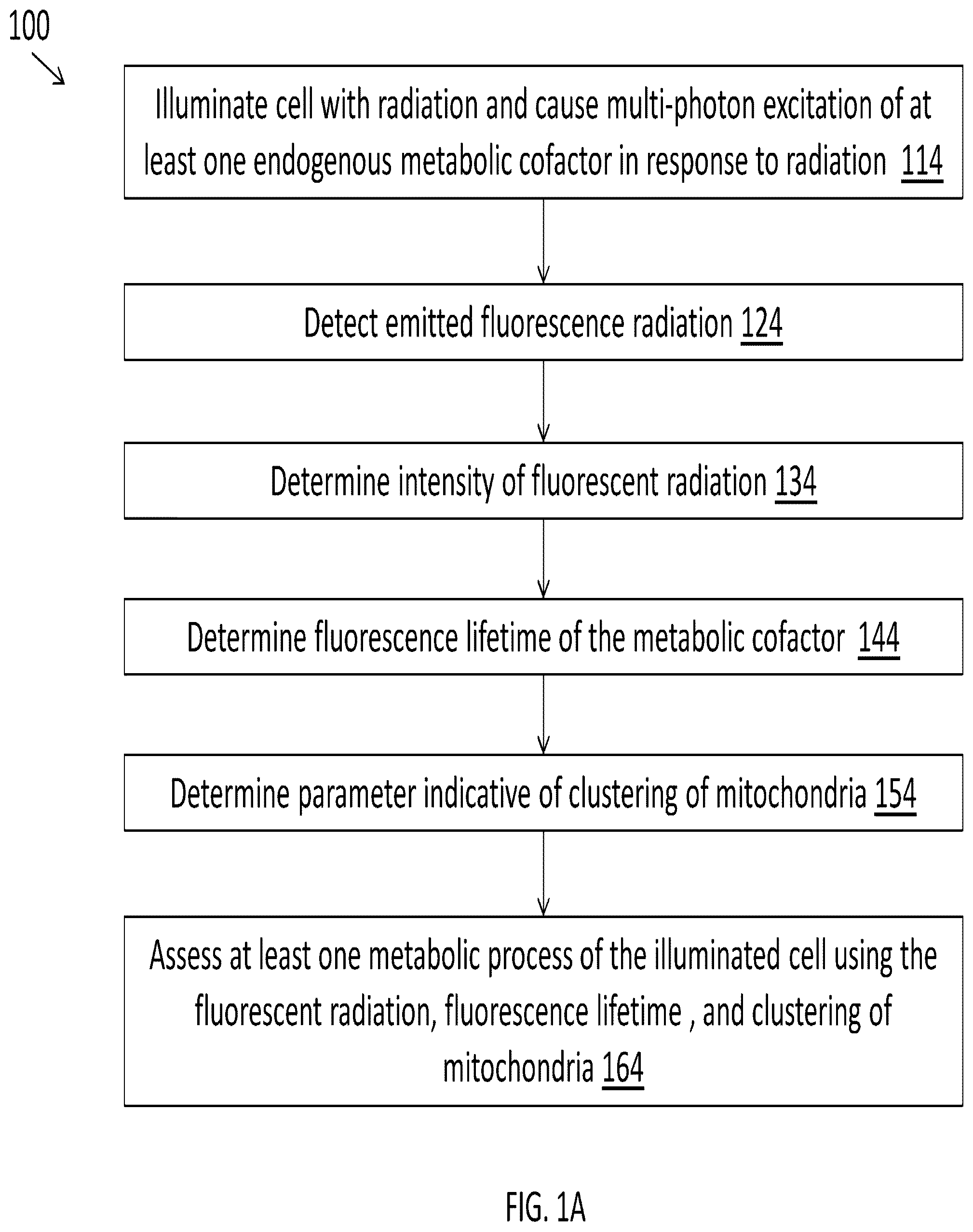 Patent US12345644 — System and method for assessing cellular metabolic activity — Figure 1
