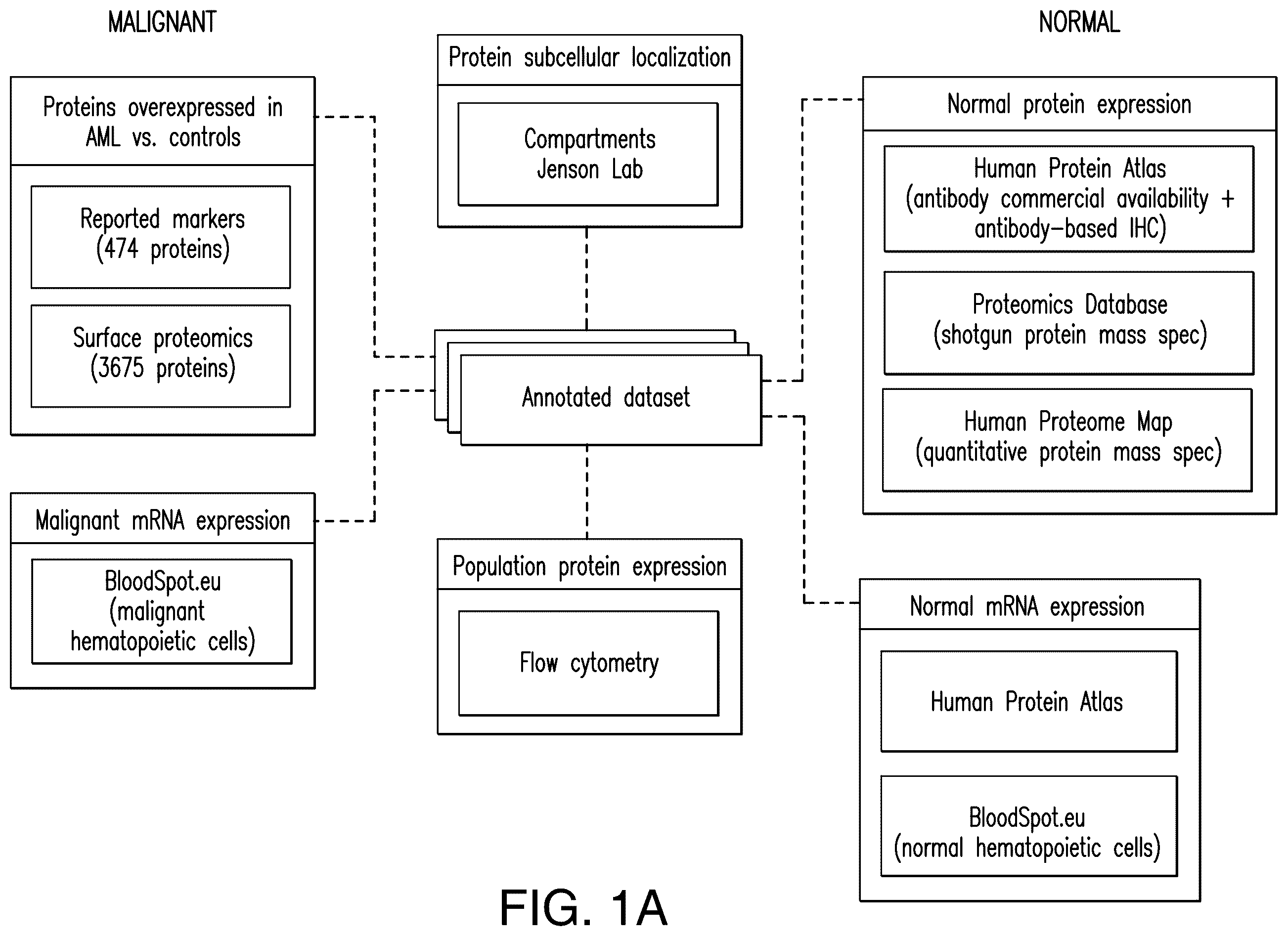 Patent US12345712 — Cancer antigen targets and uses thereof — Figure 1