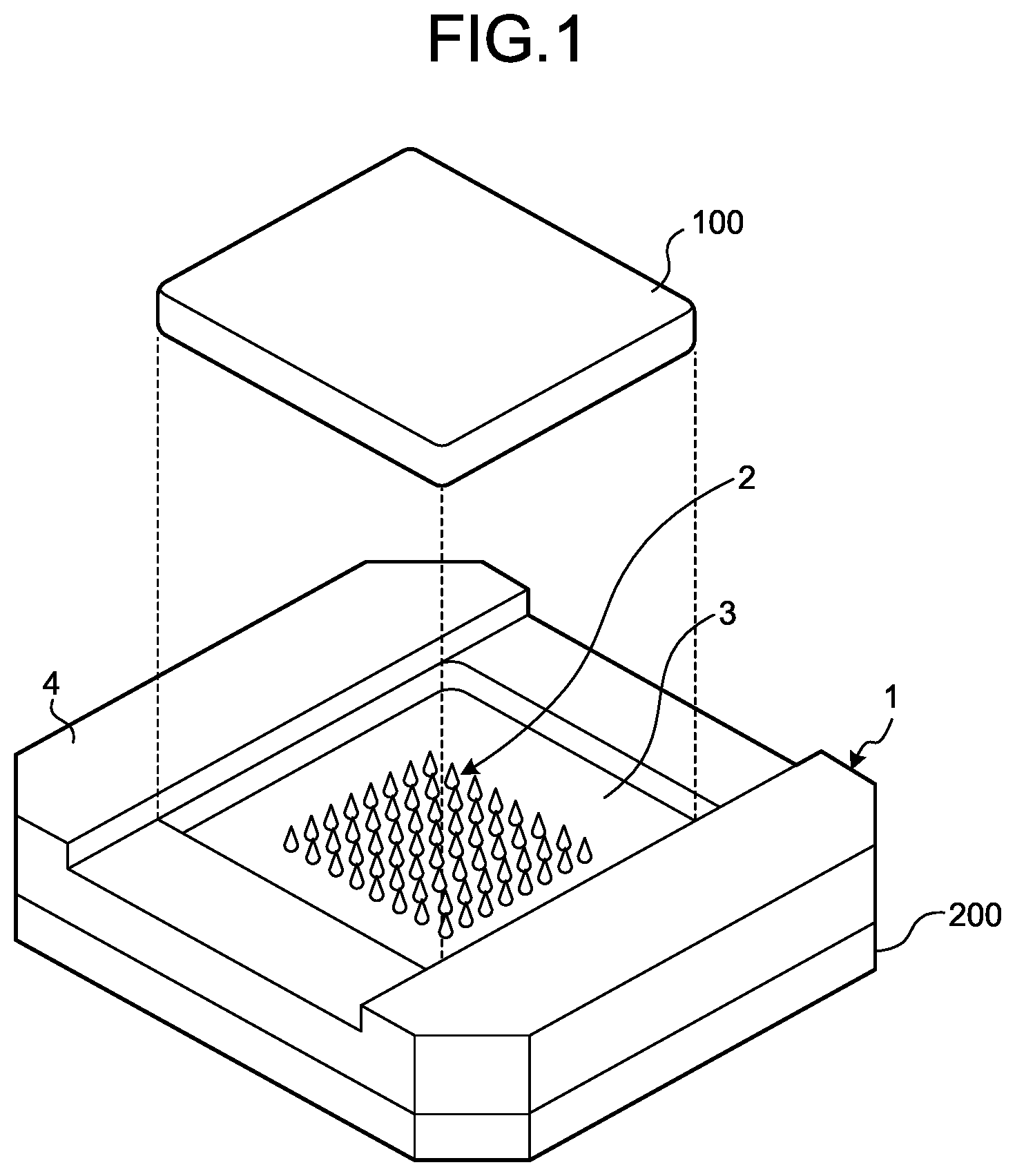 Patent US12345738 — Probe holder and probe unit — Figure 1