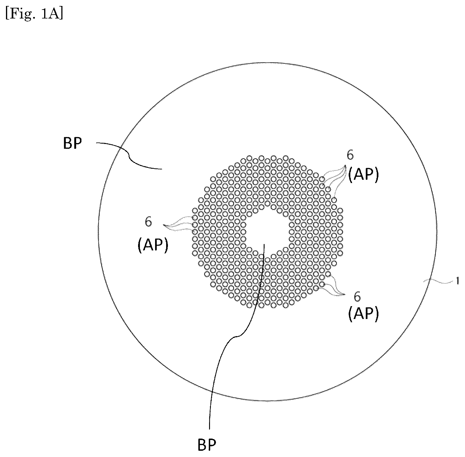 Patent US12345959 — Ophthalmological lens — Figure 1