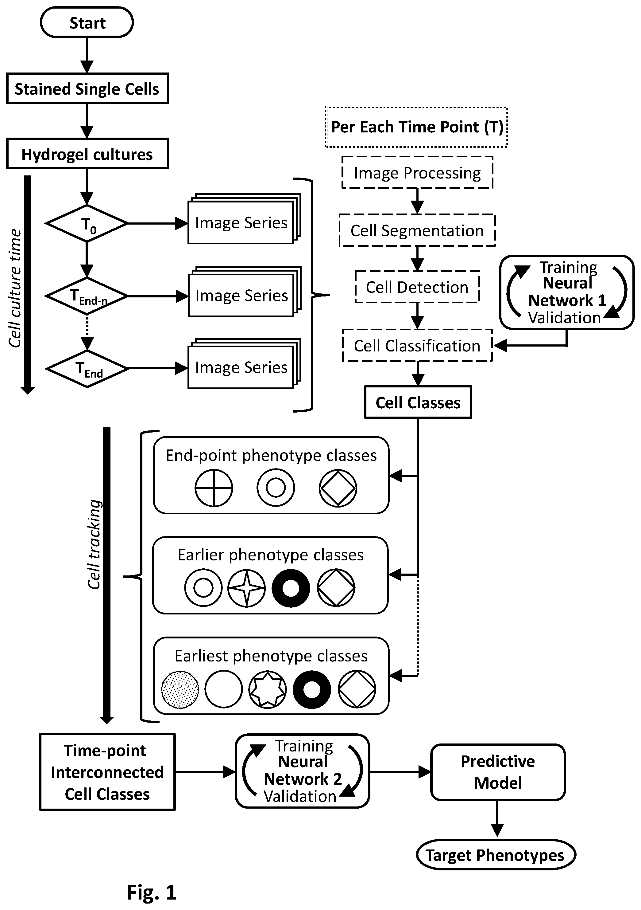 Patent US12347214 — Microspore culture predictive model generation and use — Figure 1