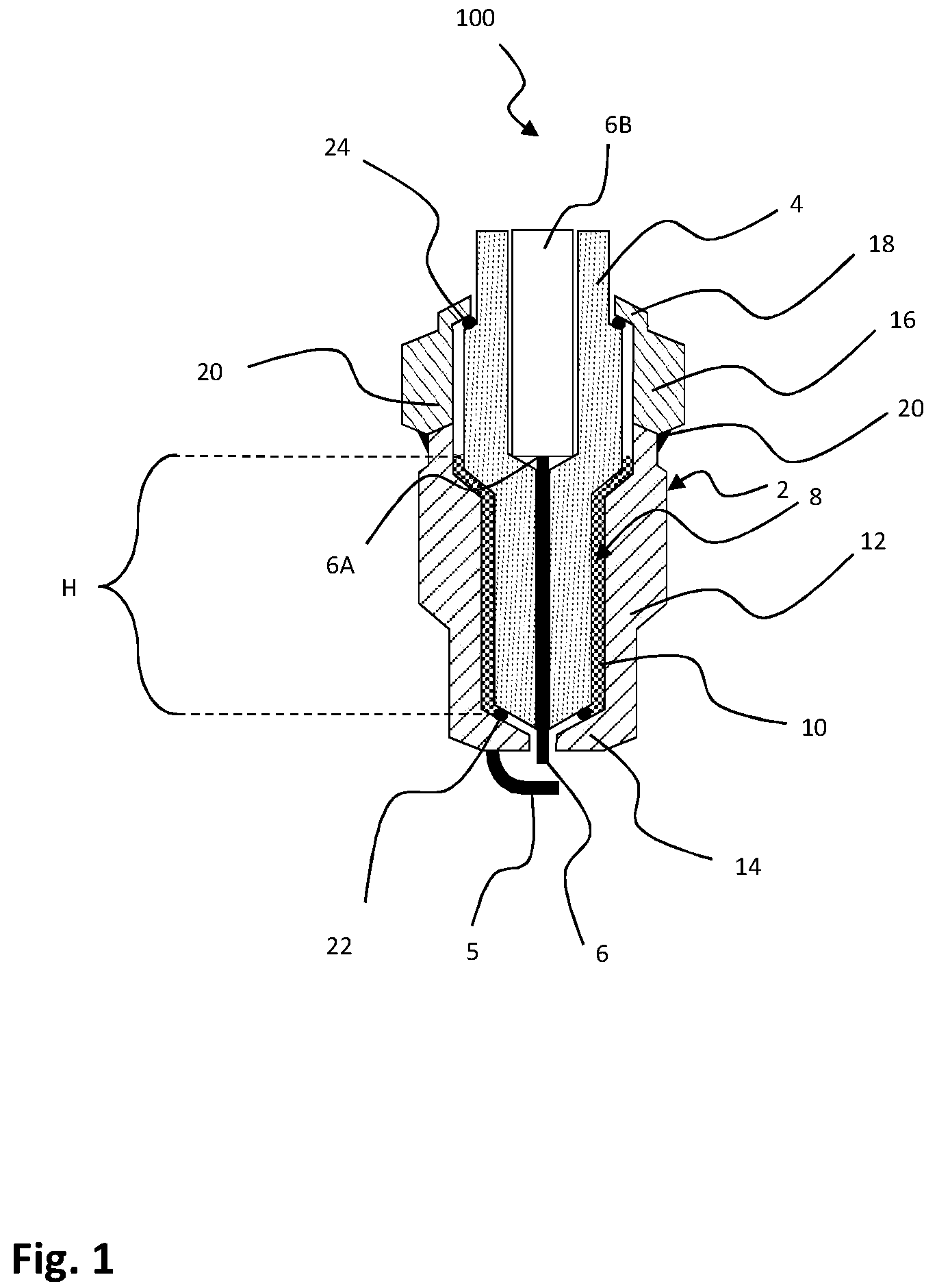 Patent US12348007 — Spark plug — Figure 1