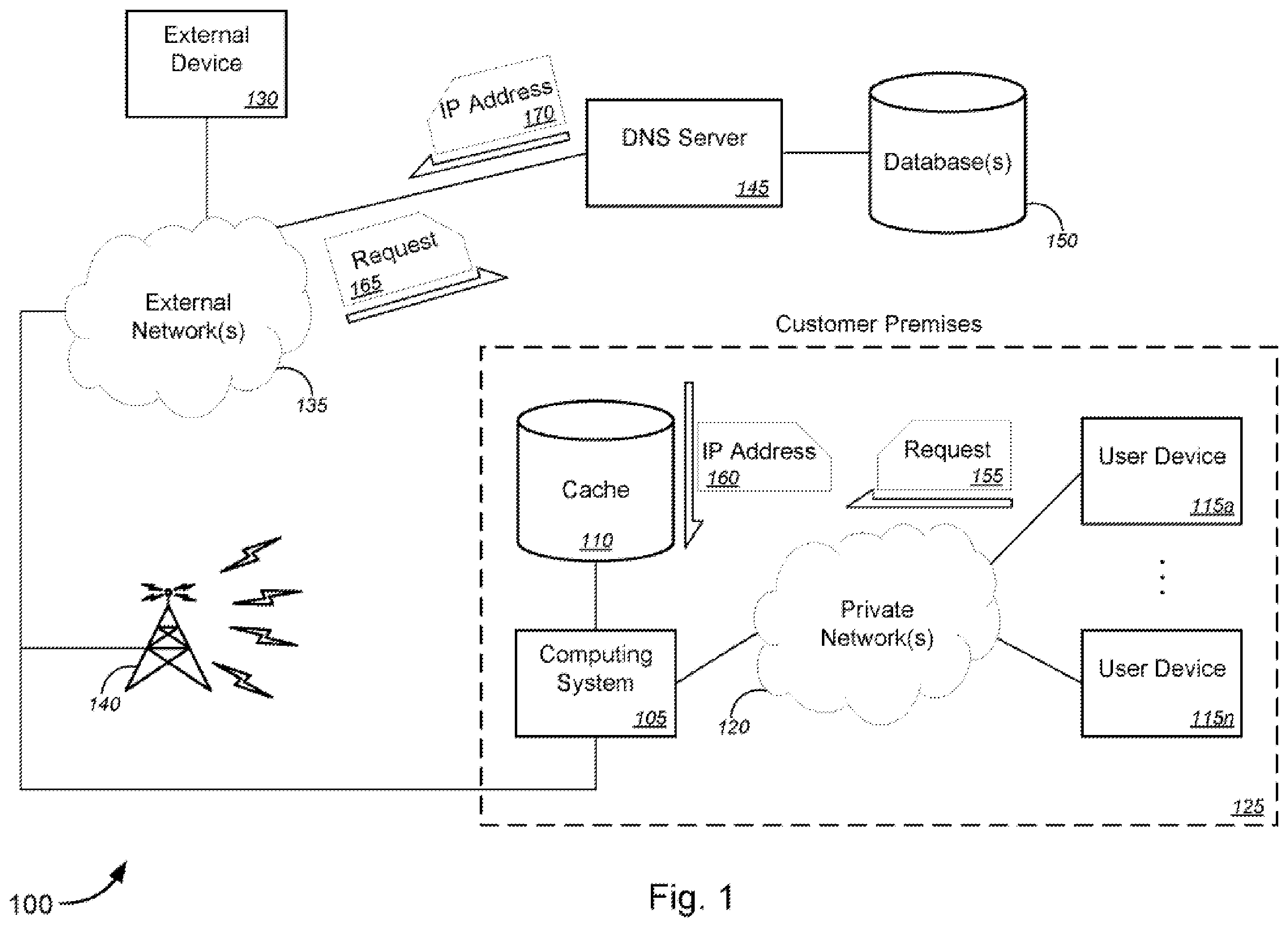 Patent US12348481 — Dynamic border gateway protocol (BGP) host route generation based on domain name system (DNS) resolution — Figure 1
