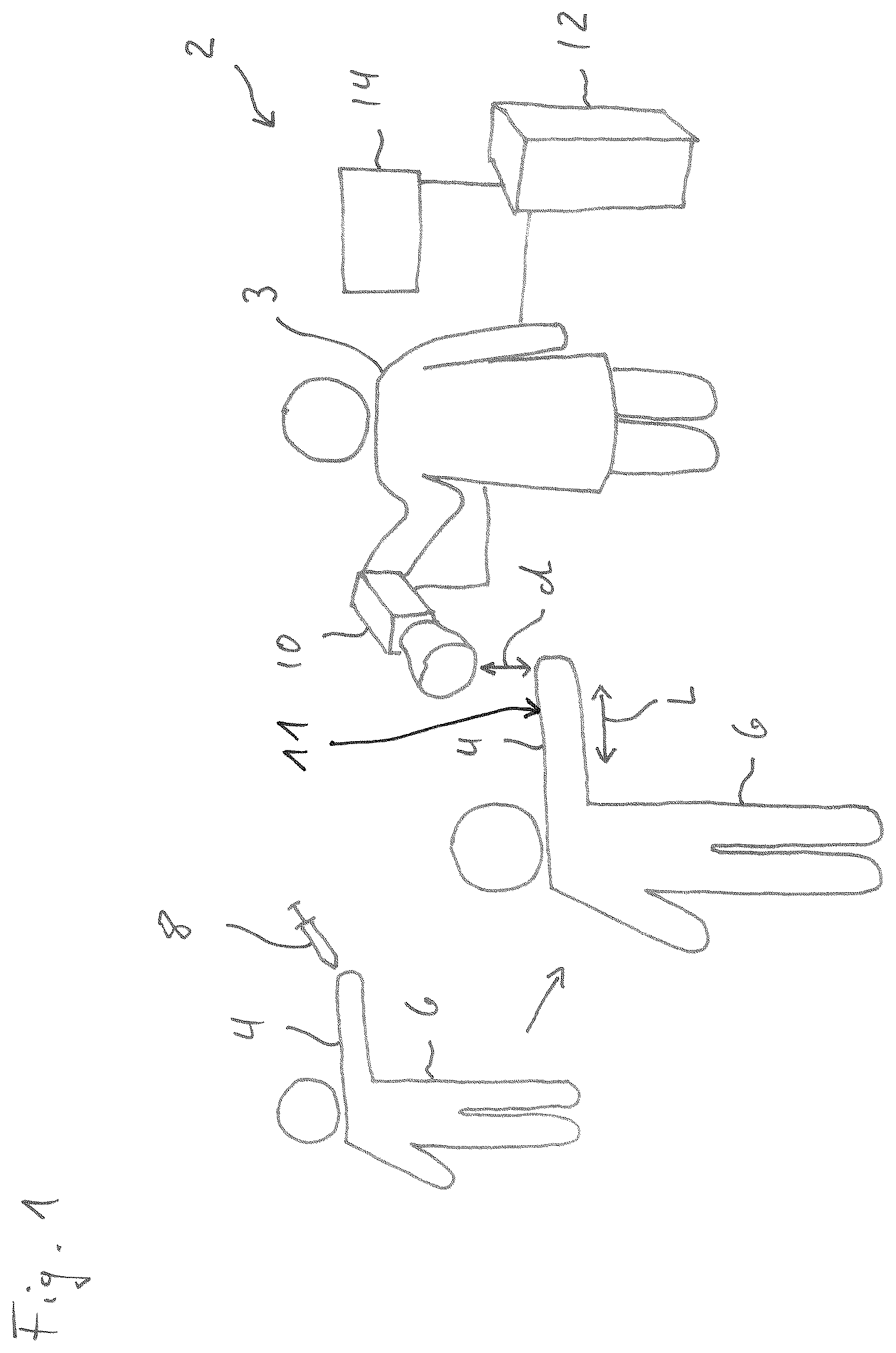 Patent US12350011 — Method of measuring a fluorescence signal, determining a peak frequency map and providing a risk prediction value, image capturing and processing device — Figure 1