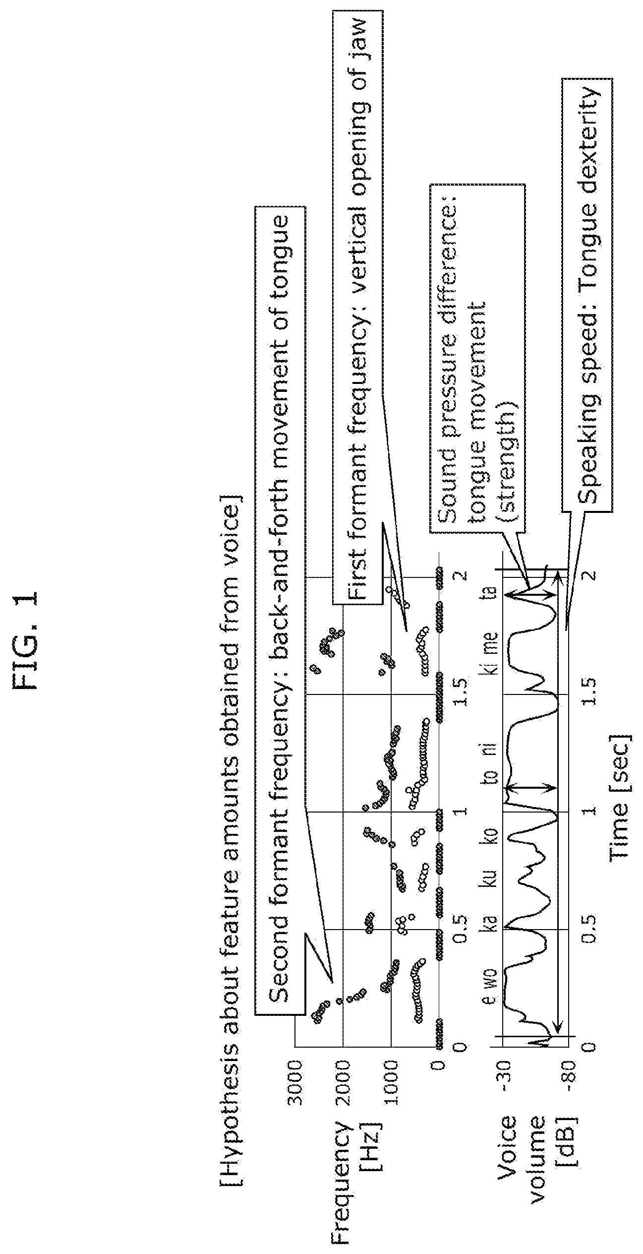 Patent US12350065 — Oral function visualization system, oral function visualization method, and recording medium — Figure 1