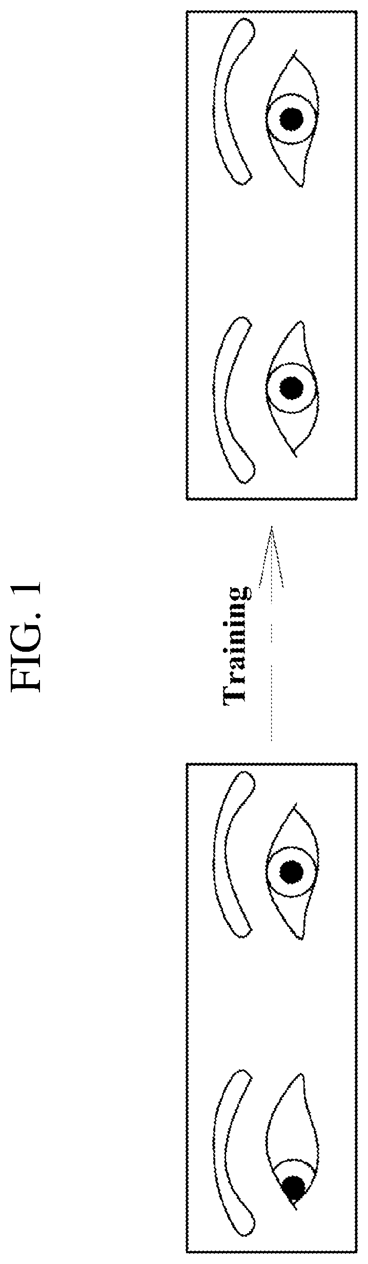 Patent US12350230 — Apparatus and method for providing virtual reality-based eye movement exercise and visual perception training — Figure 1