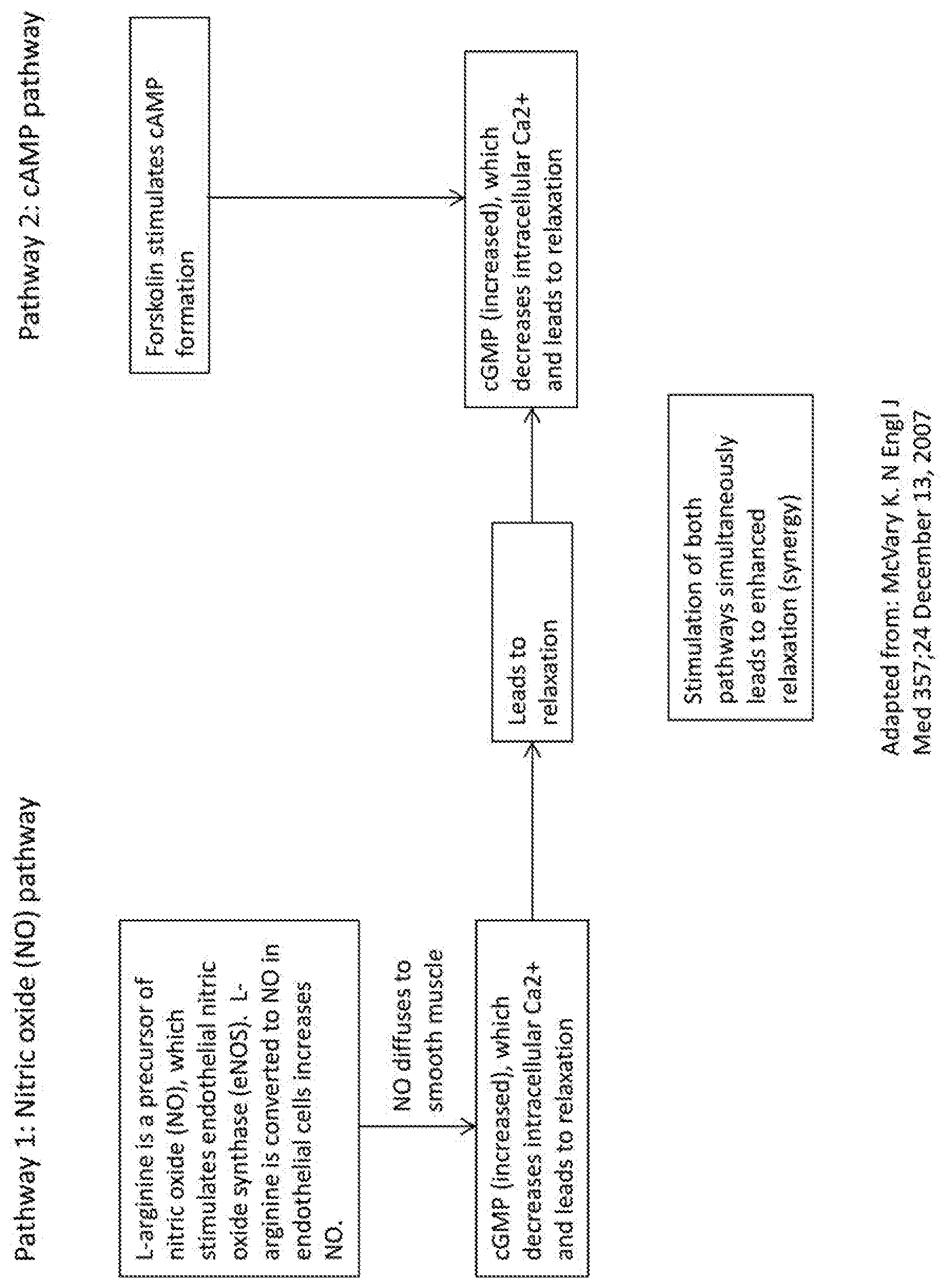 Patent US12350251 — Sexual health enhancement composition — Figure 1