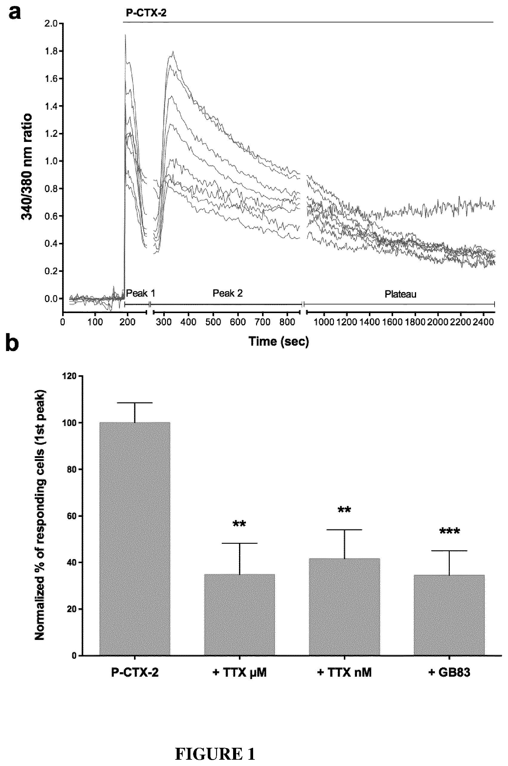Patent US12350260 — Protease-activated receptor-2 inhibitors for the treatment of sensory neuropathy induced by a marine neurotoxic poisoning — Figure 1