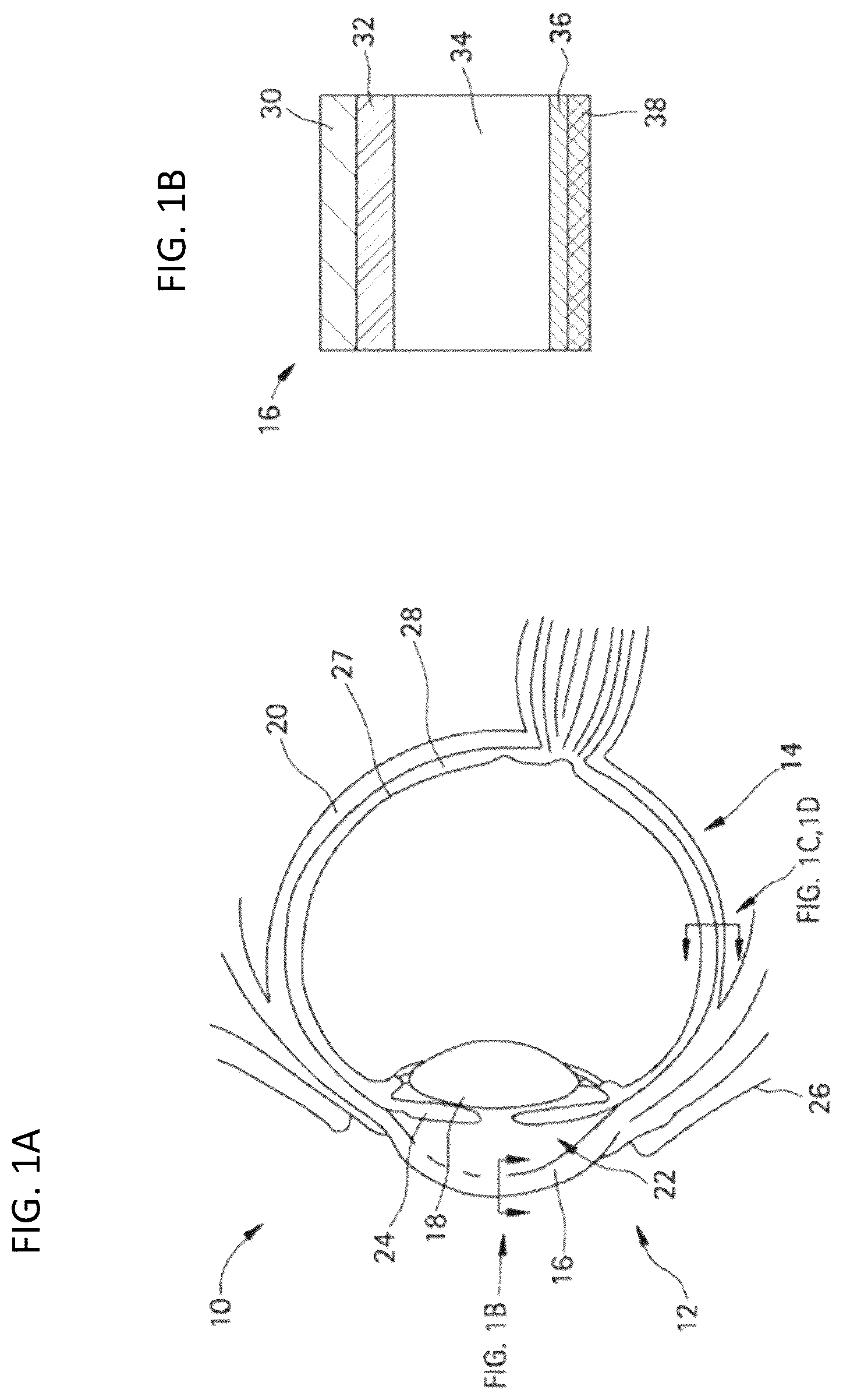 Patent US12350261 — Methods and devices for the treatment of ocular diseases in human subjects — Figure 1