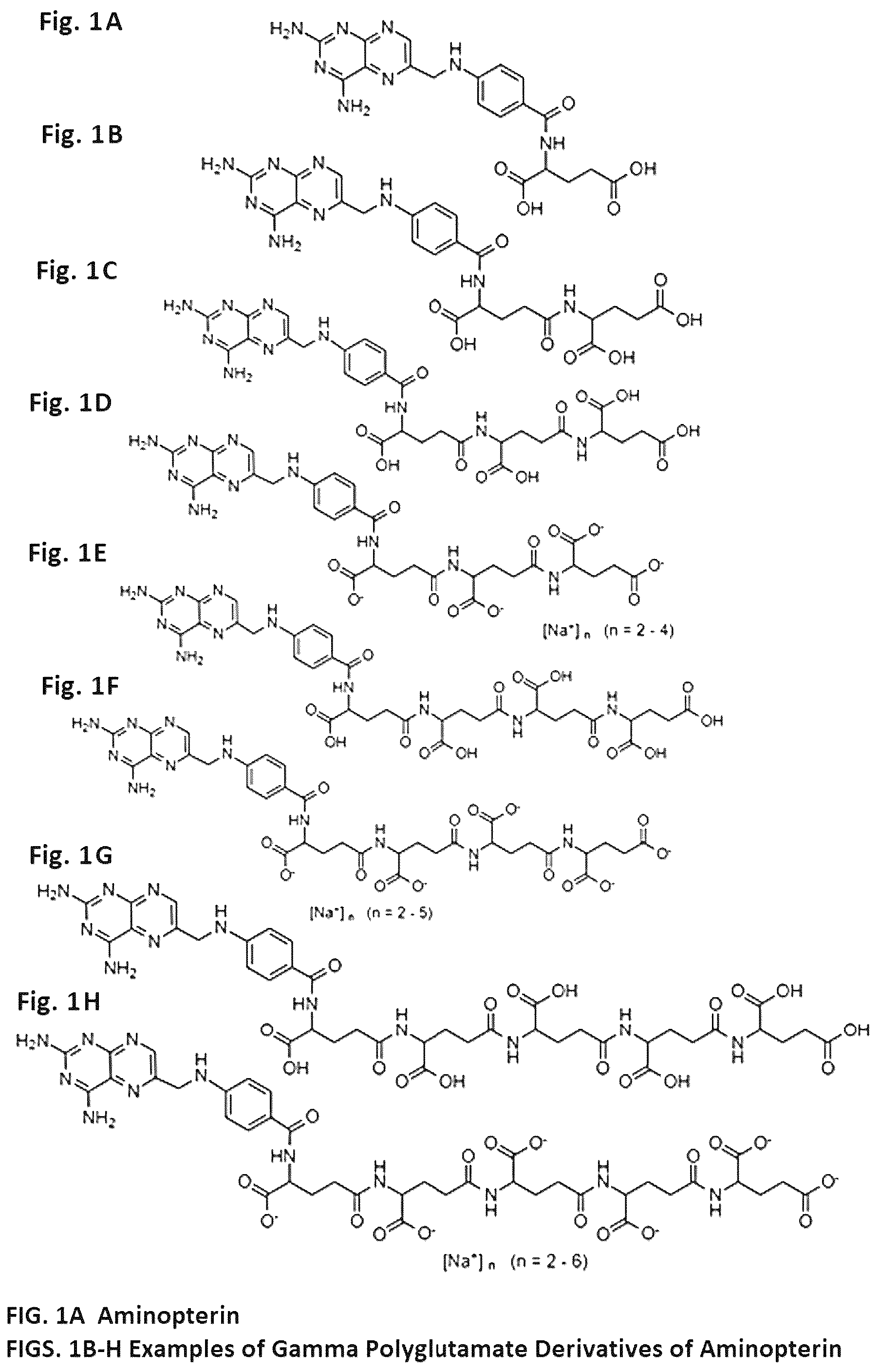 Patent US12350271 — Gamma polyglutamated aminopterin and uses thereof — Figure 1