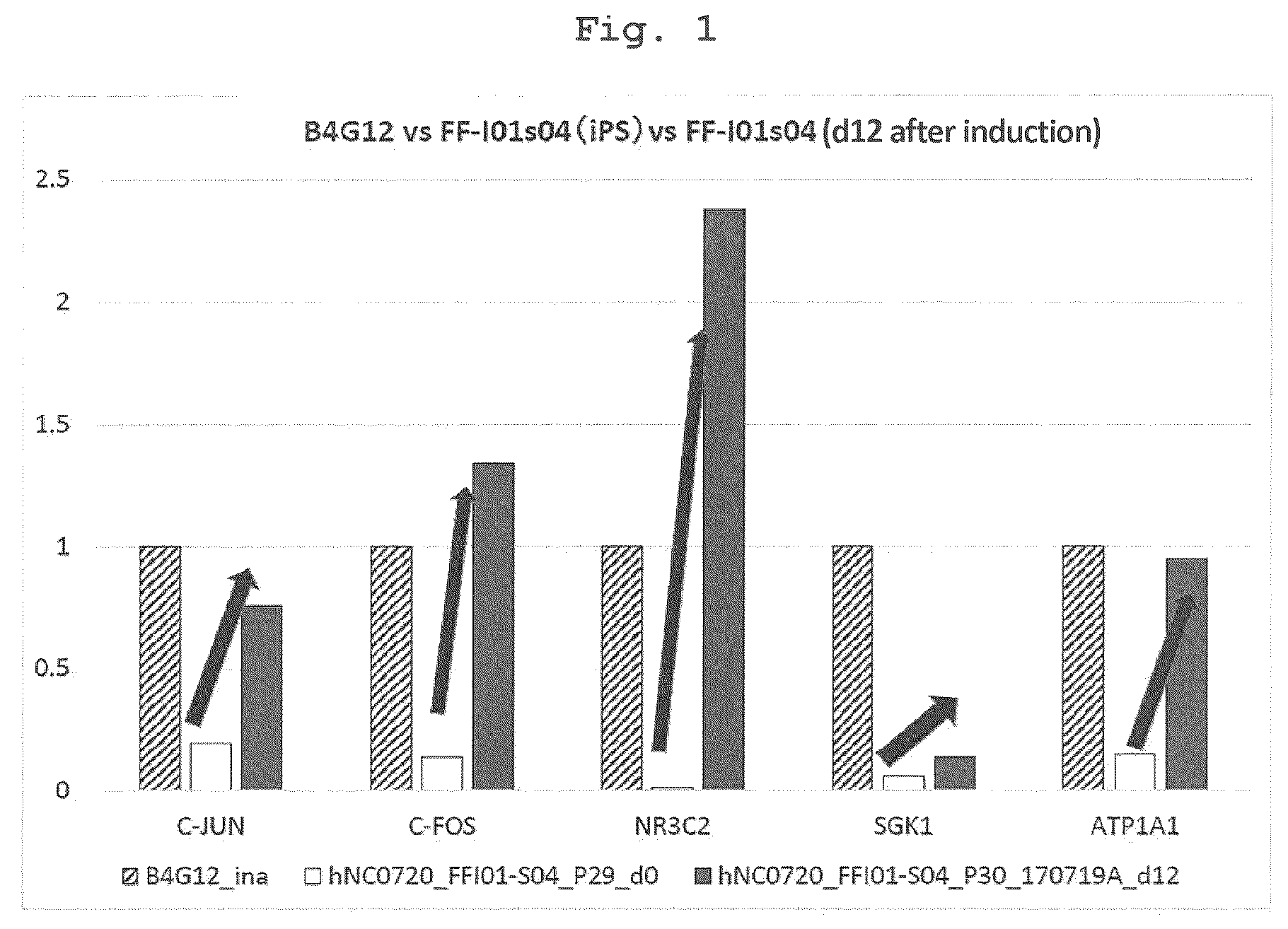 Patent US12350294 — Medium comprising serum replacement, IGF1, STAT3 activator and adrenal gland hormone without BFGF or rock inhibitor for producing corneal endothelial substitute cells from iPS cells and a method thereof — Figure 1