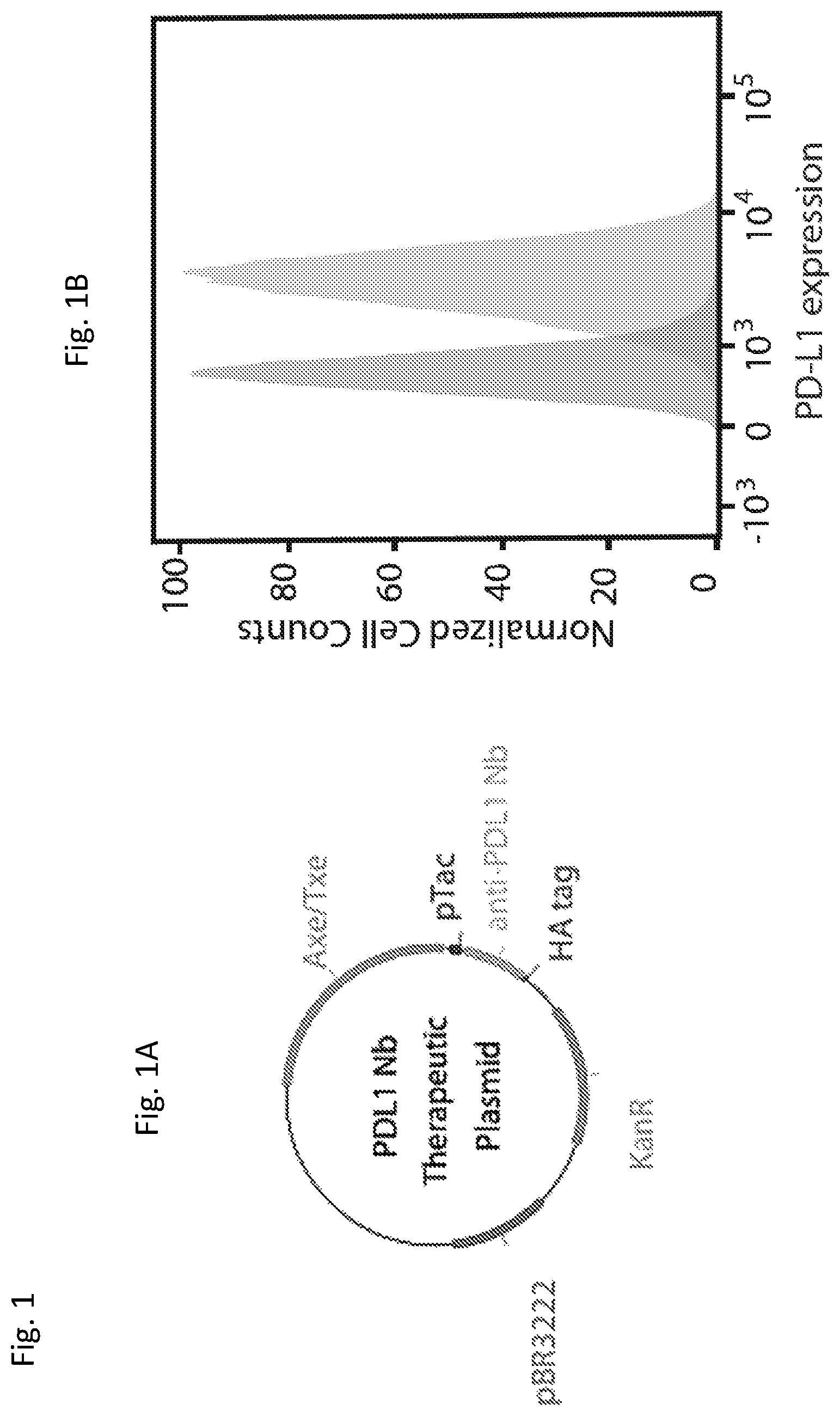Patent US12350297 — Programmable bacteria for the treatment of cancer — Figure 1