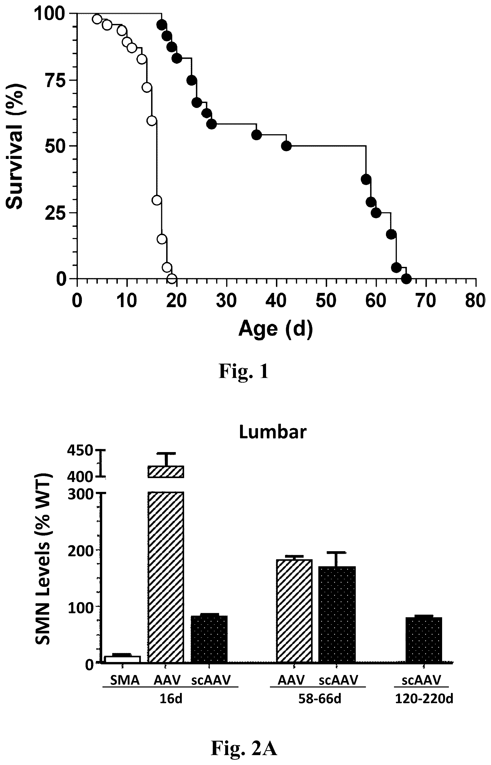 Patent US12350311 — Gene therapy for neurodegenerative disorders — Figure 1