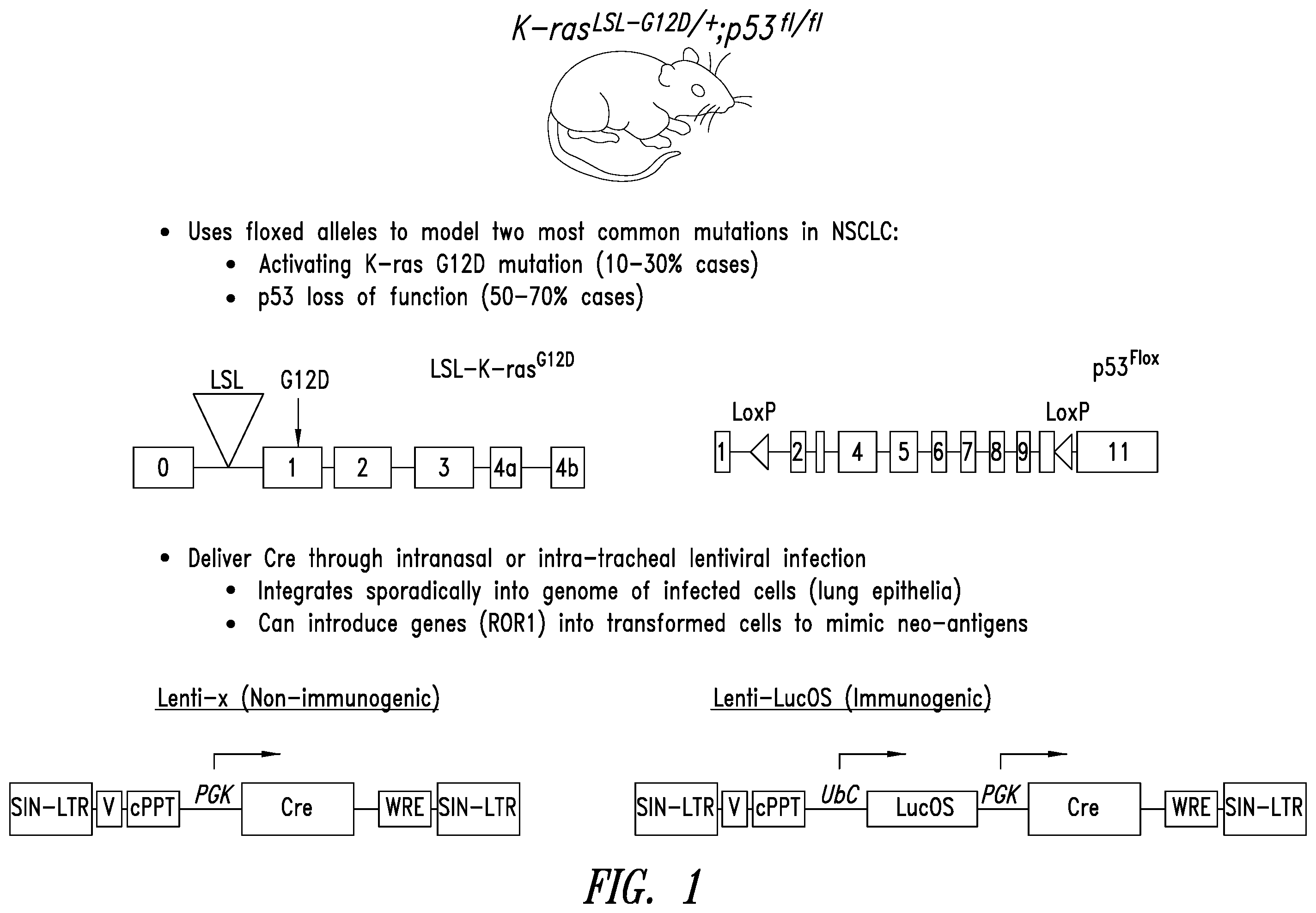 Patent US12350312 — Methods for improving adoptive cell therapy — Figure 1