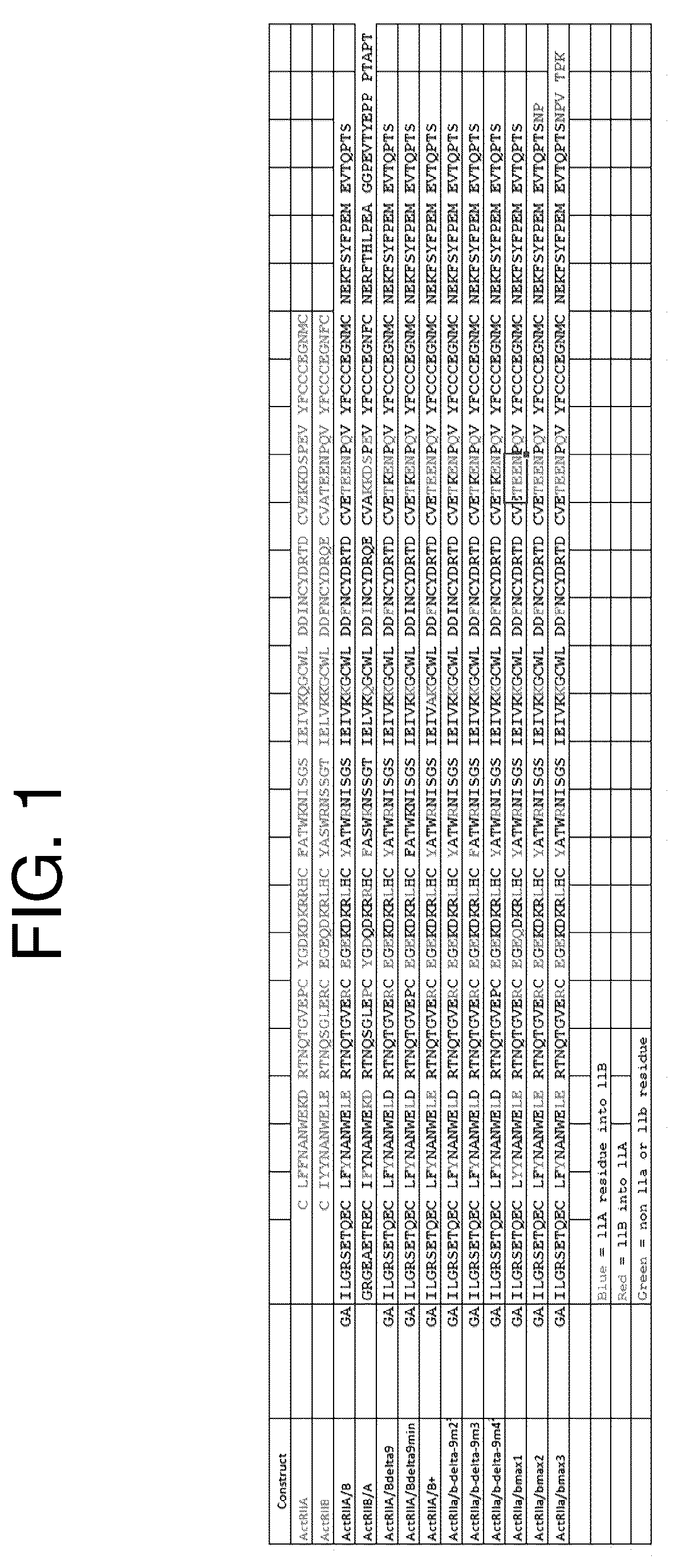 Patent US12350313 Figure 1 – Activin receptor type IIa variants and methods of use thereof