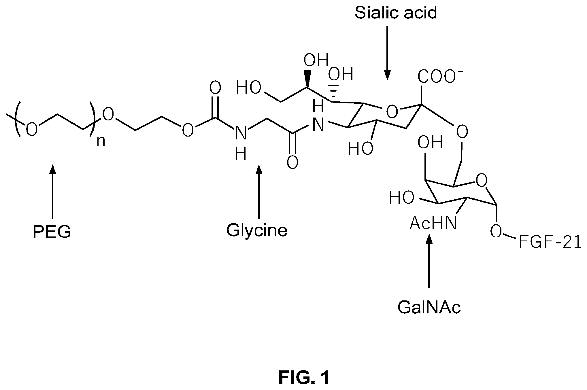 Patent US12350314 — Liquid formulations comprising mutant FGF-21 peptide pegylated conjugates — Figure 1