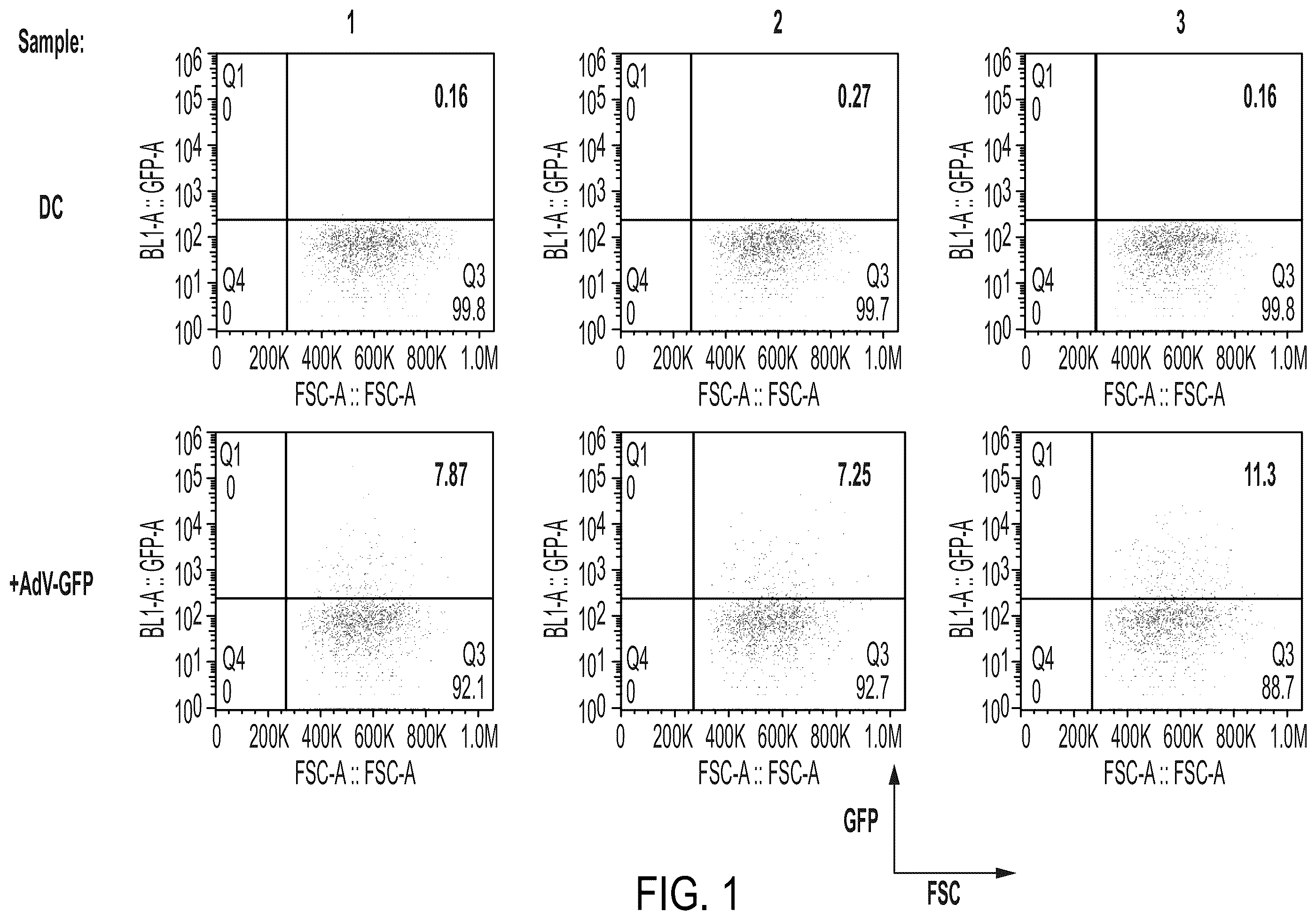 Patent US12350323 — Cellular adjuvants for viral infection — Figure 1