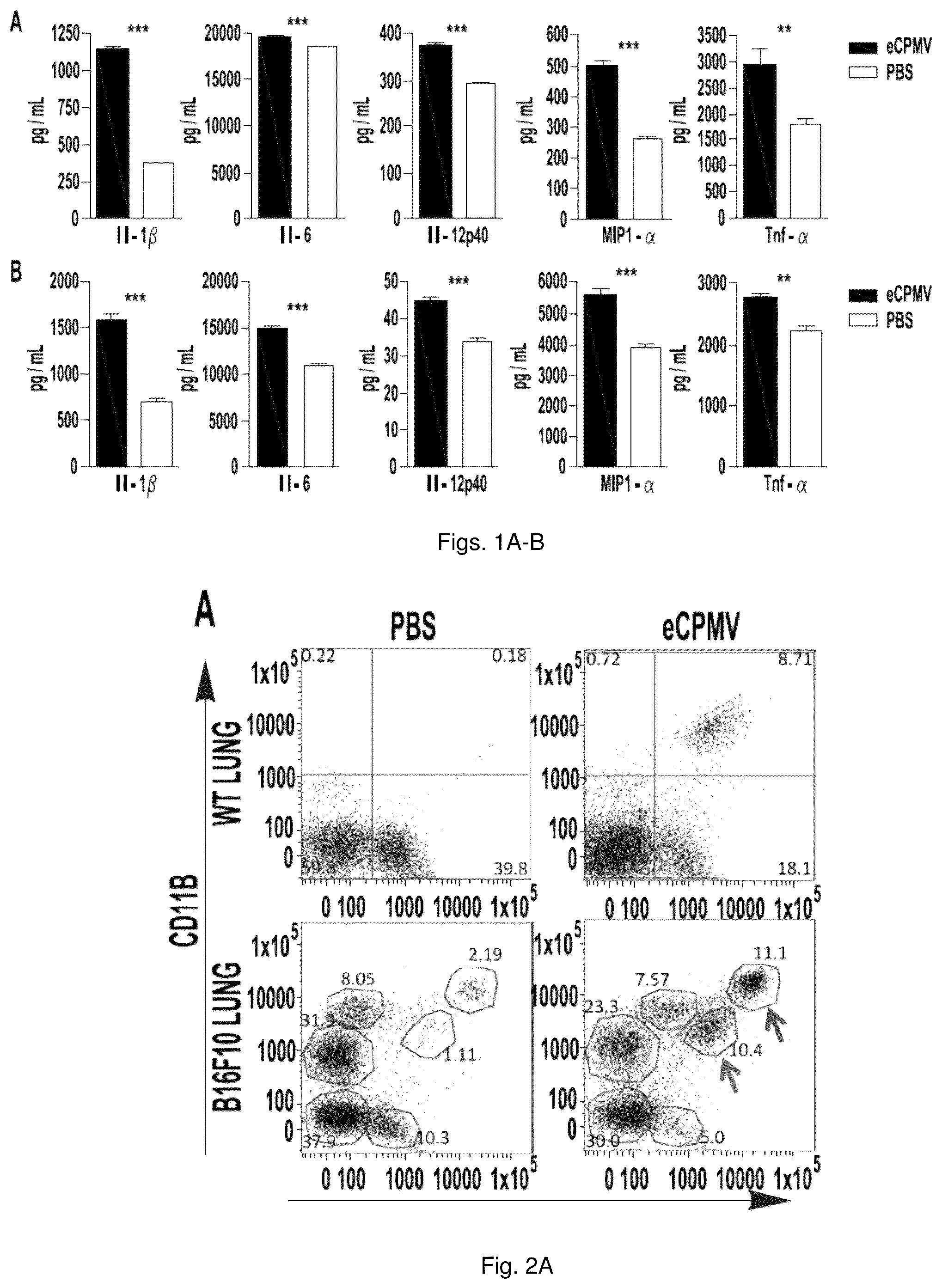Patent US12350326 — Cancer immunotherapy using virus particles — Figure 1