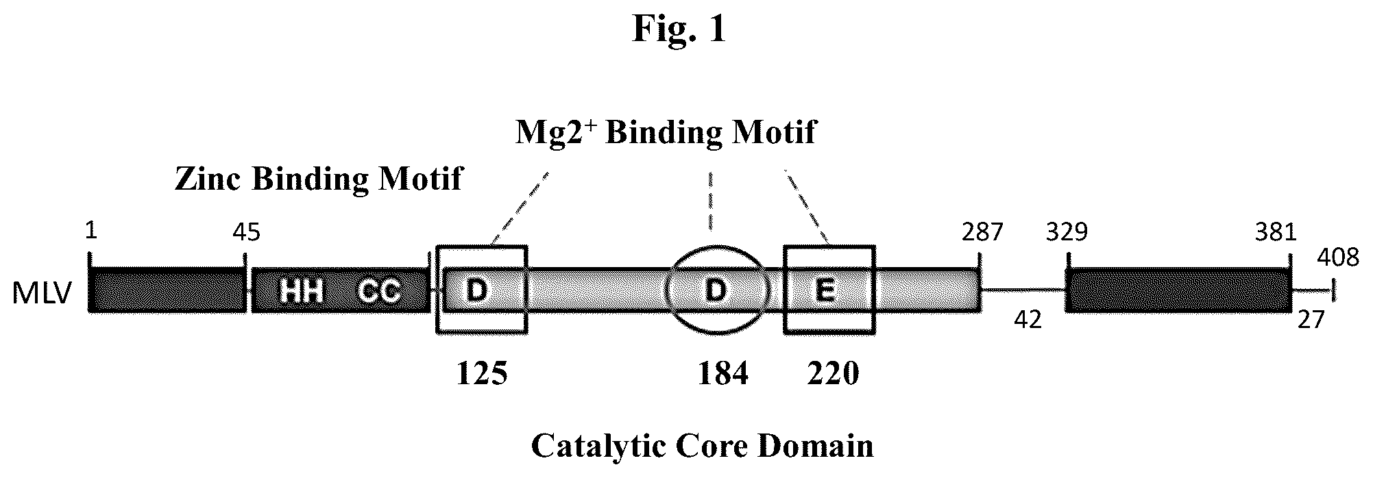 Patent US12350327 — Compositions and methods for therapeutic or vaccine delivery — Figure 1