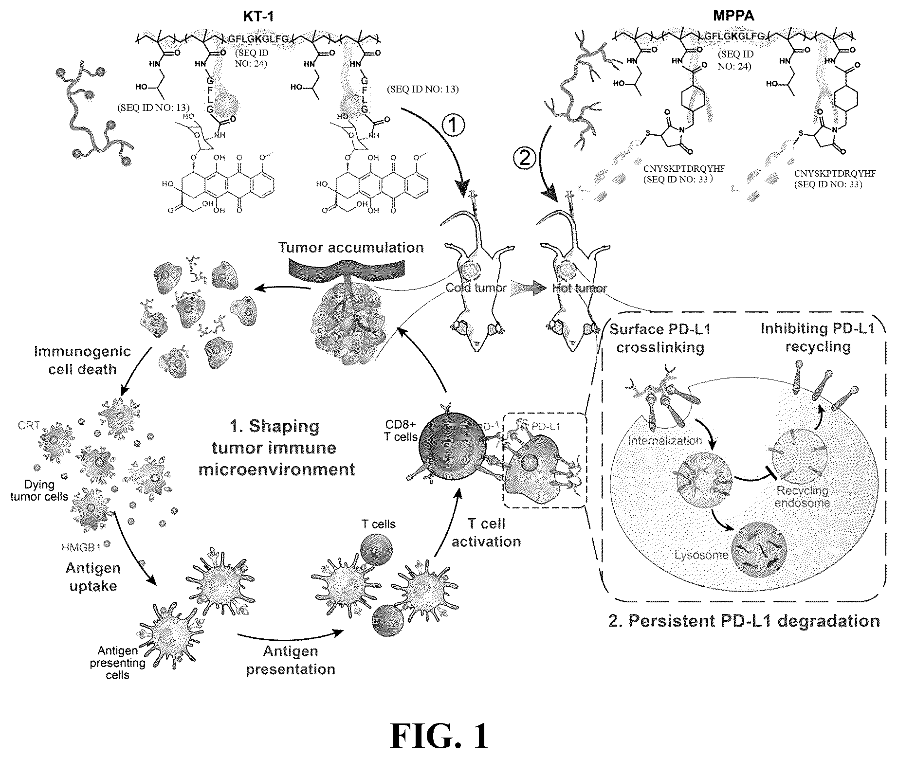 Patent US12350337 — Polymeric drug delivery conjugates and methods of making and using thereof — Figure 1