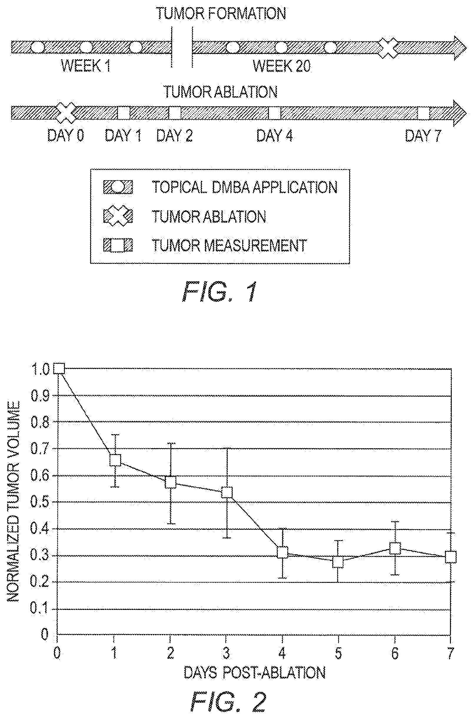 Patent US12350341 — Methods for the treatment of cancer and benign lesions by ablation — Figure 1