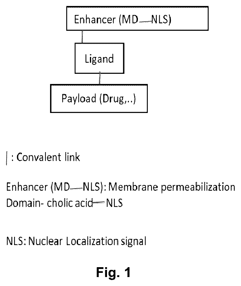 Patent US12350346 — Conjugates enhancing total cellular accumulation — Figure 1