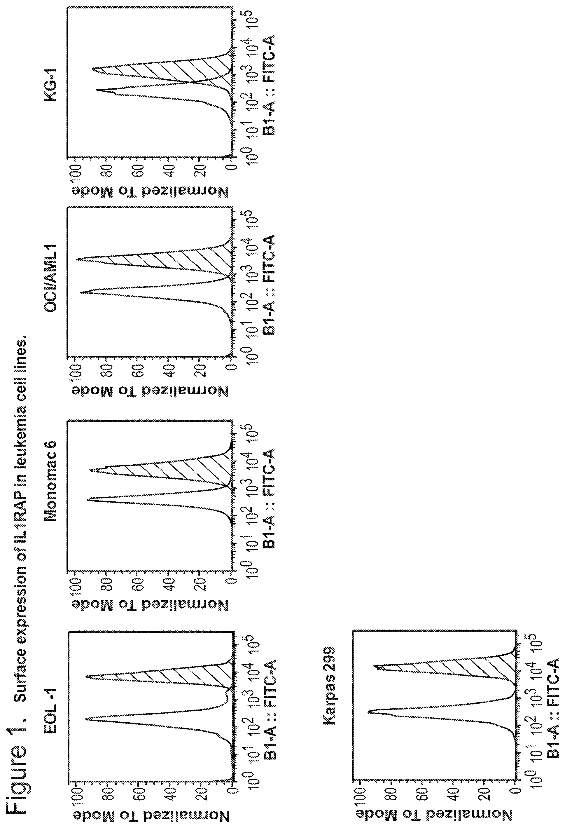 Patent US12350347 — Nucleic acids encoding anti-IL1RAP antibodies and their uses — Figure 1