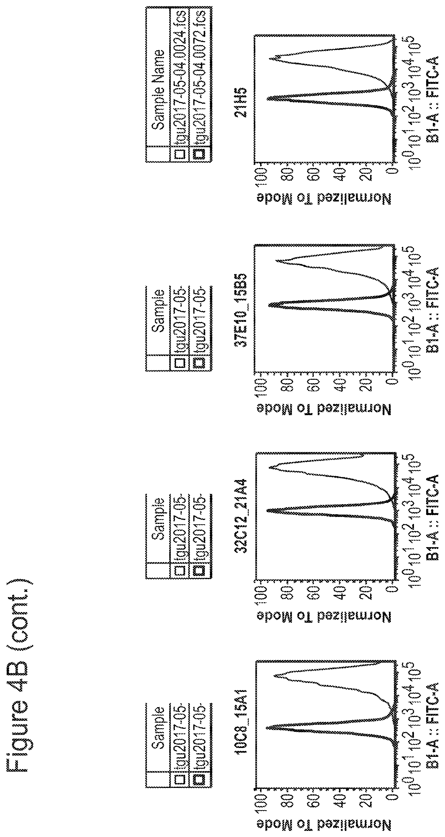 Patent US12350347 Figure 8 – Nucleic acids encoding anti-IL1RAP antibodies and their uses