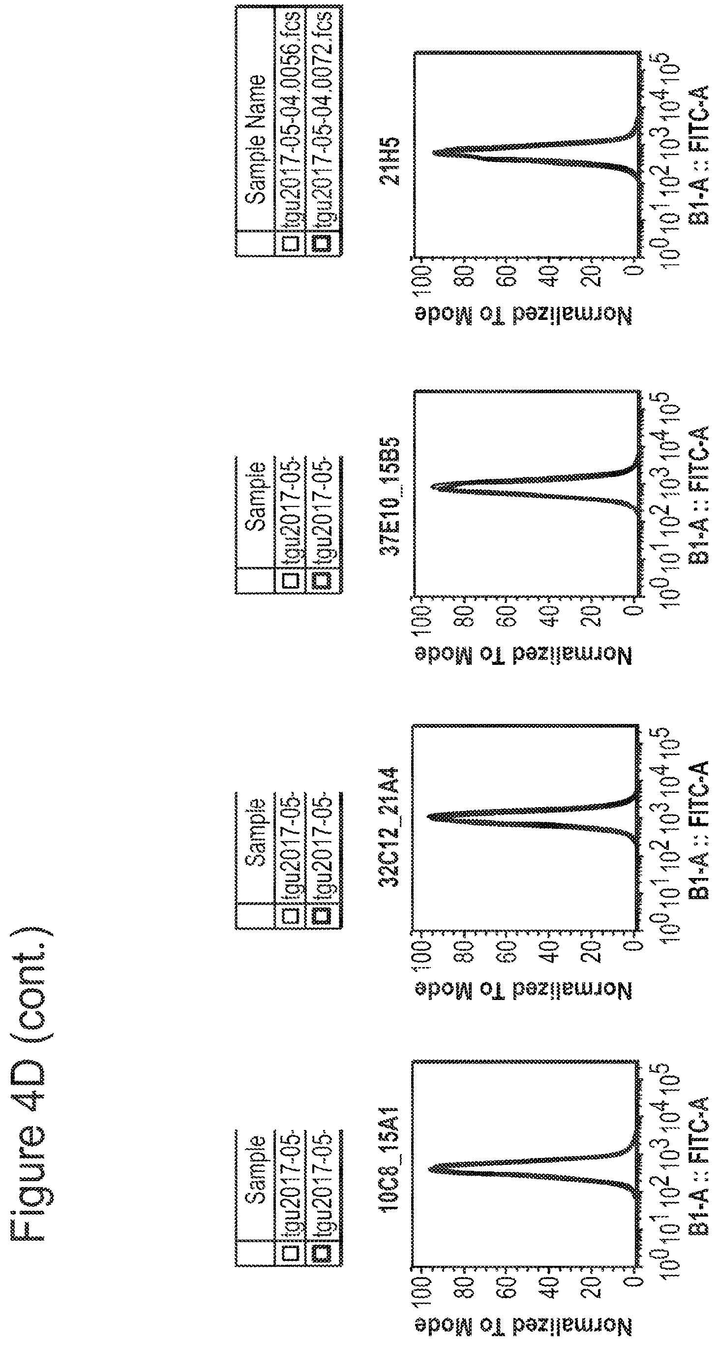 Patent US12350347 Figure 16 – Nucleic acids encoding anti-IL1RAP antibodies and their uses