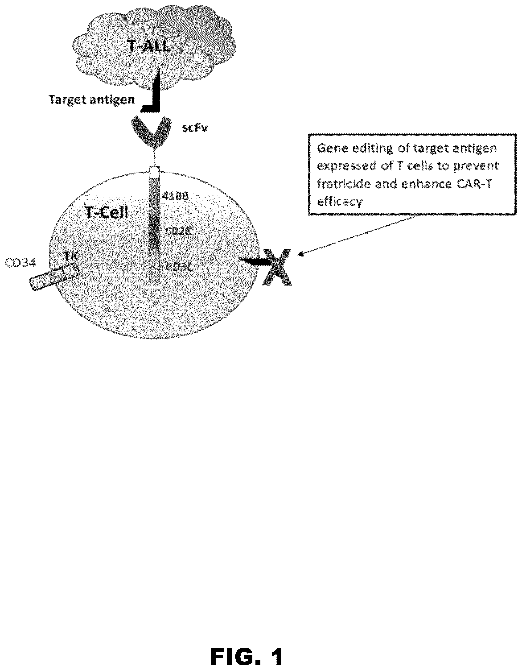 Patent US12350349 — Gene editing of CAR-T cells for the treatment of T cell malignancies with chimeric antigen receptors — Figure 1