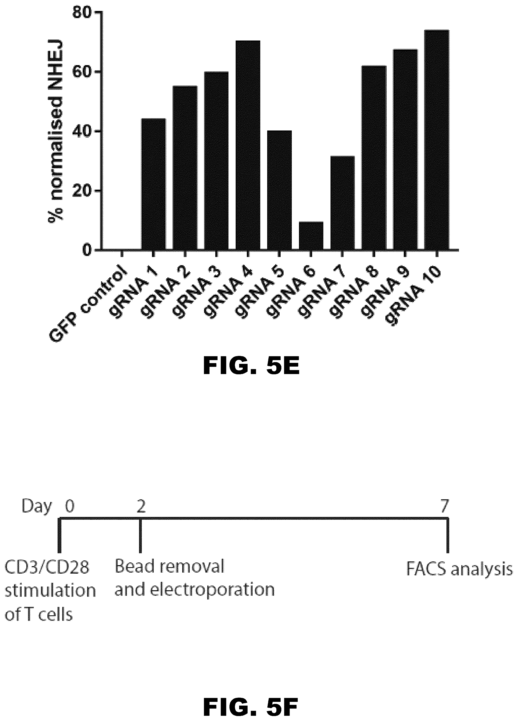 Patent US12350349 Figure 9 – Gene editing of CAR-T cells for the treatment of T cell malignancies with chimeric antigen receptors