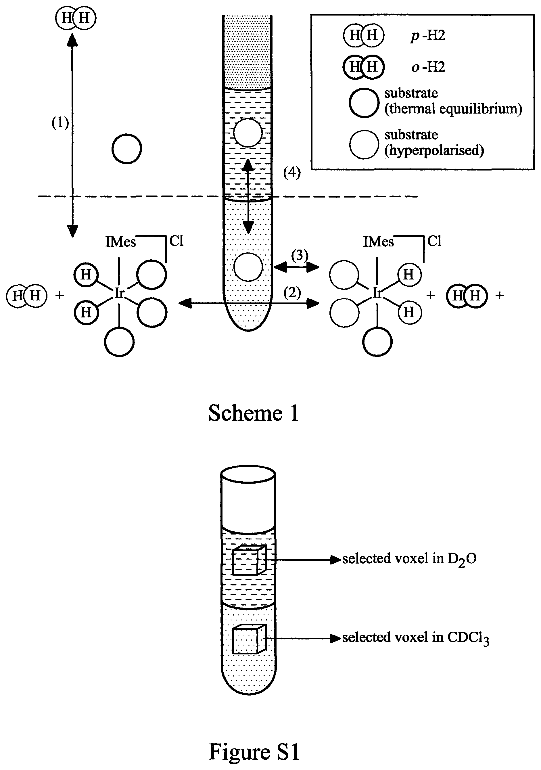 Patent US12350350 — Hyperpolarisation in aqueous media via sabre — Figure 1
