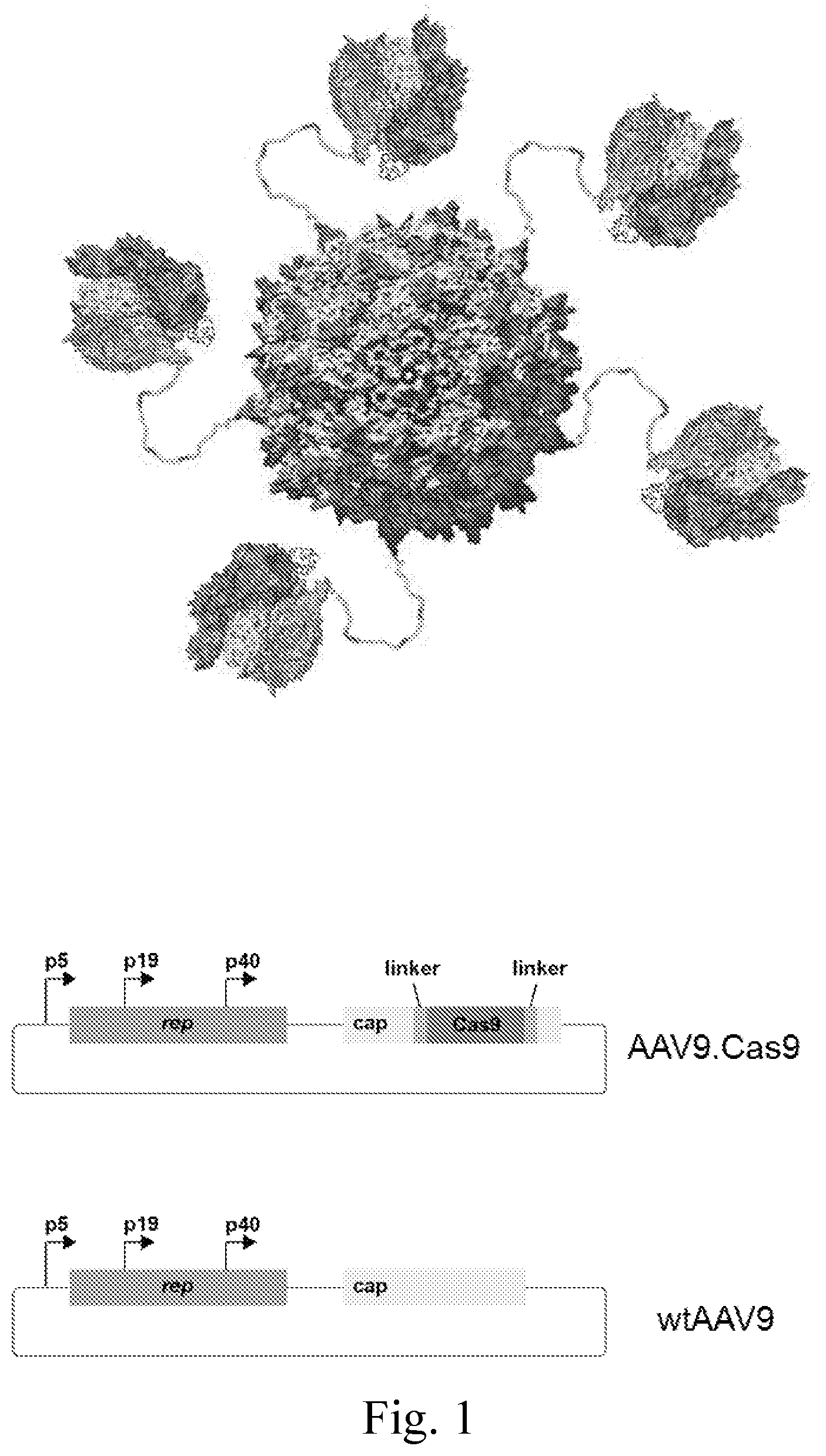Patent US12350368 — Delivery of large payloads — Figure 1
