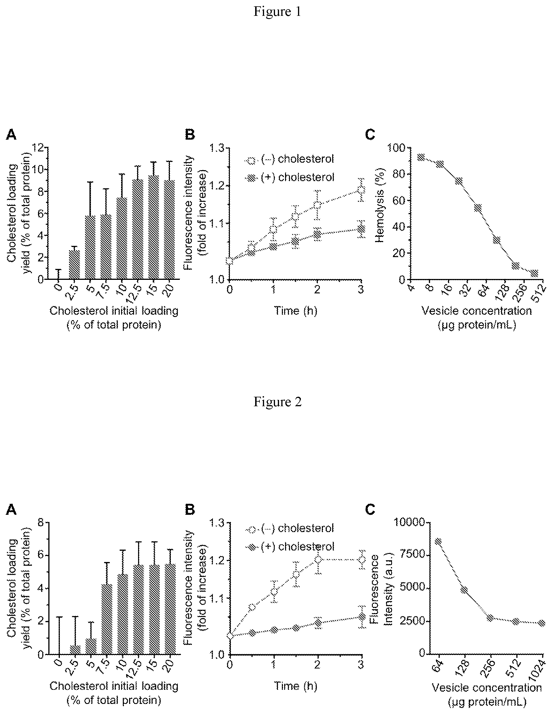 Patent US12350381 — Nanoparticles containing cellular membrane and uses thereof — Figure 1