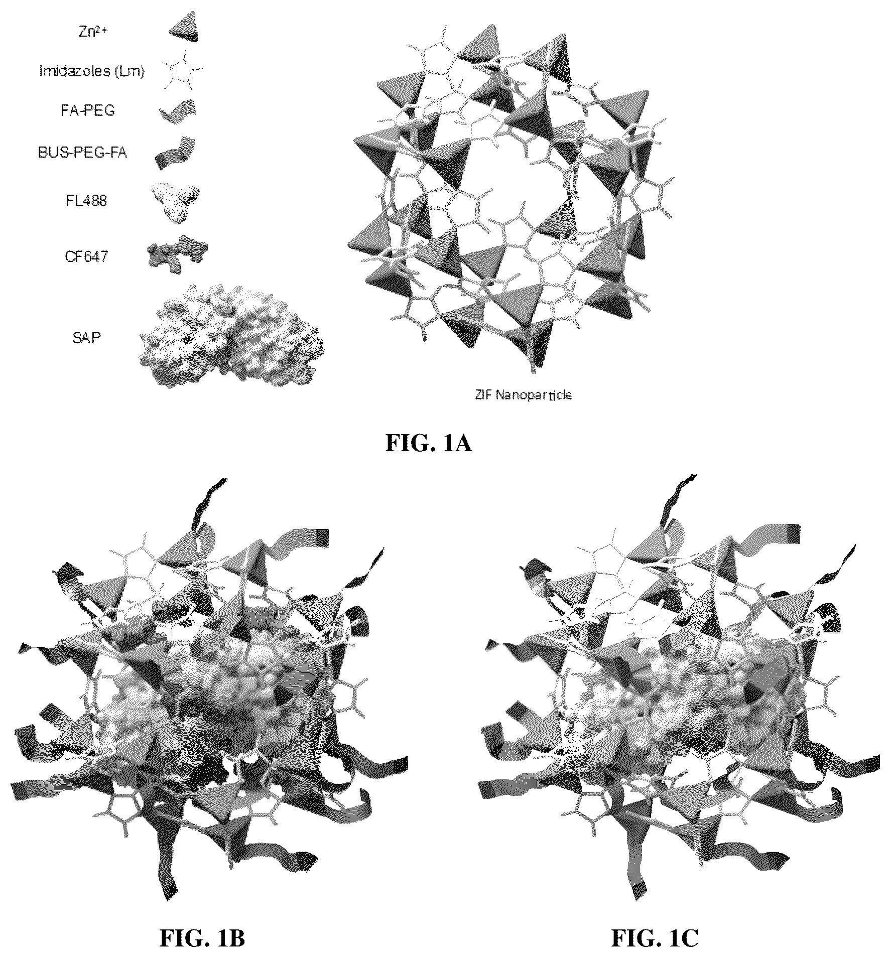 Patent US12350384 — Nanoparticles for treating prostate cancer — Figure 1