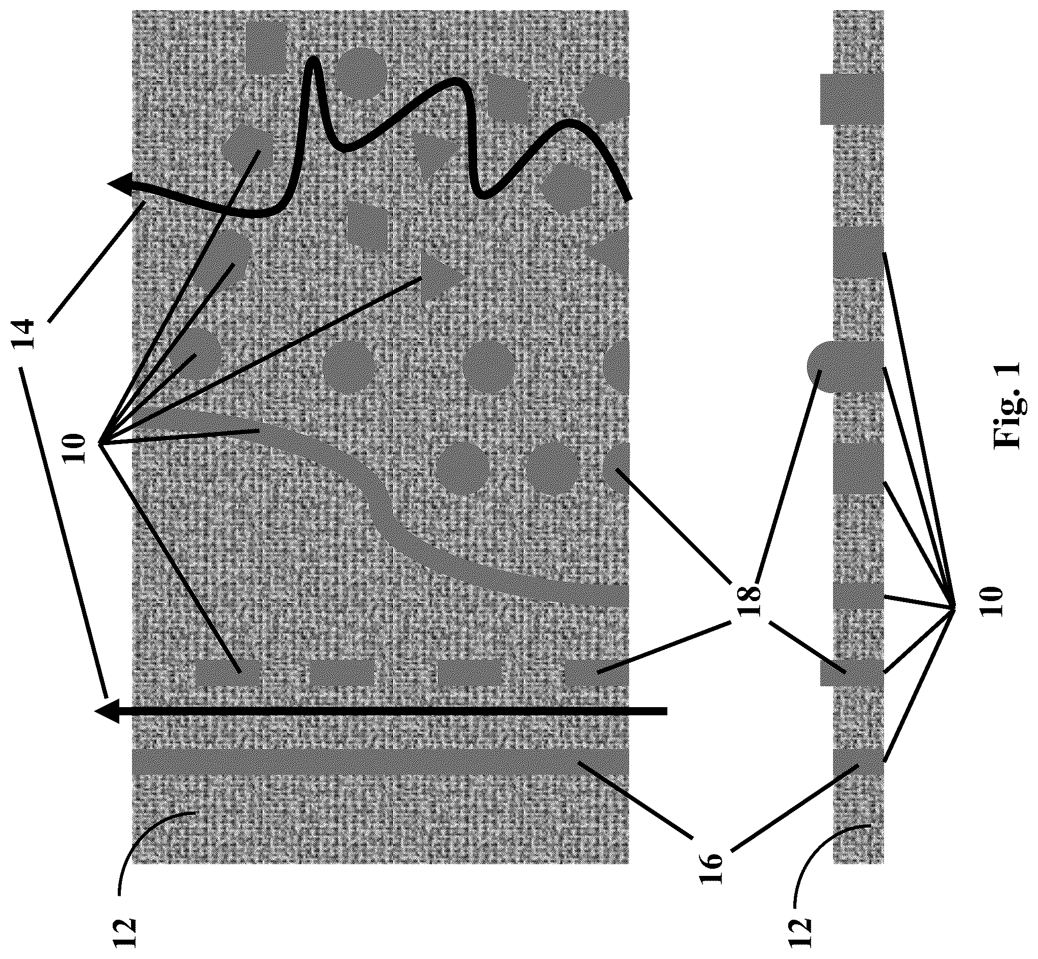 Patent US12350627 — Permeate flow patterns — Figure 1