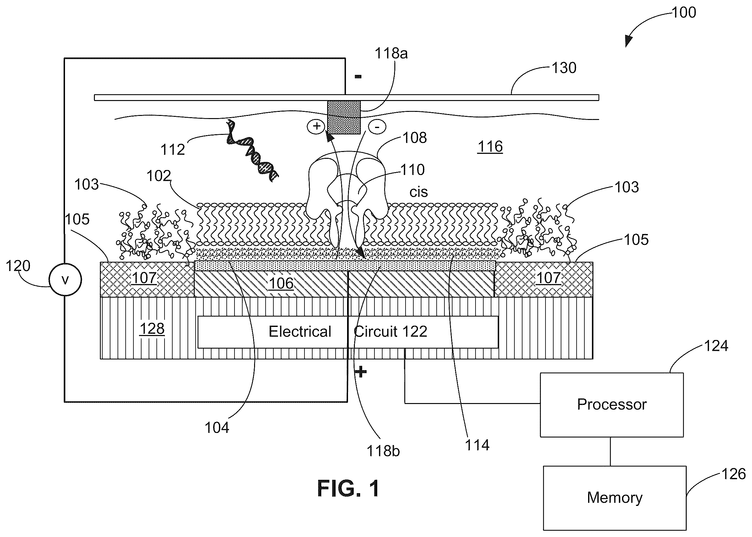 Patent US12350891 — Systems and methods for forming a nanopore in a lipid bilayer — Figure 1