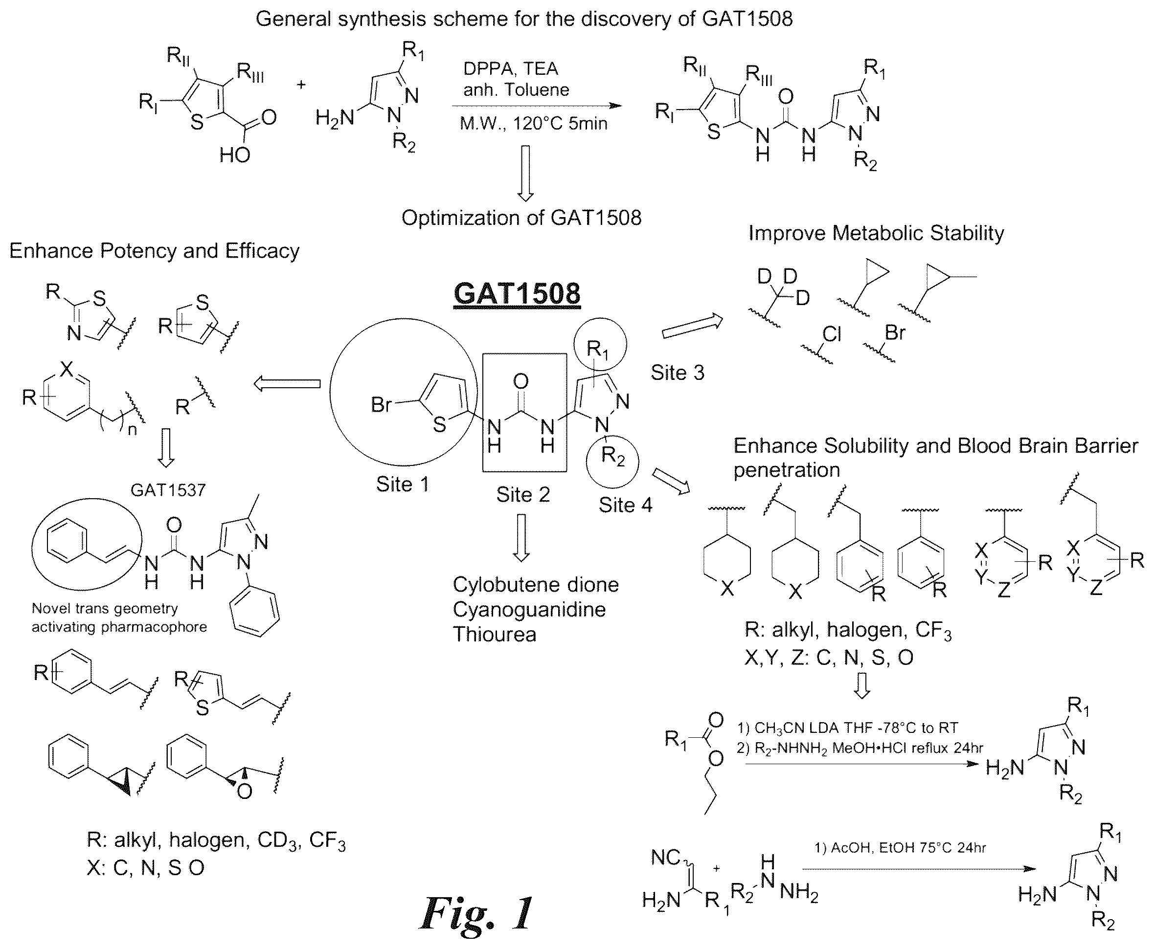 Patent US12351574 — Selective ligands for modulation of GIRK channels — Figure 1