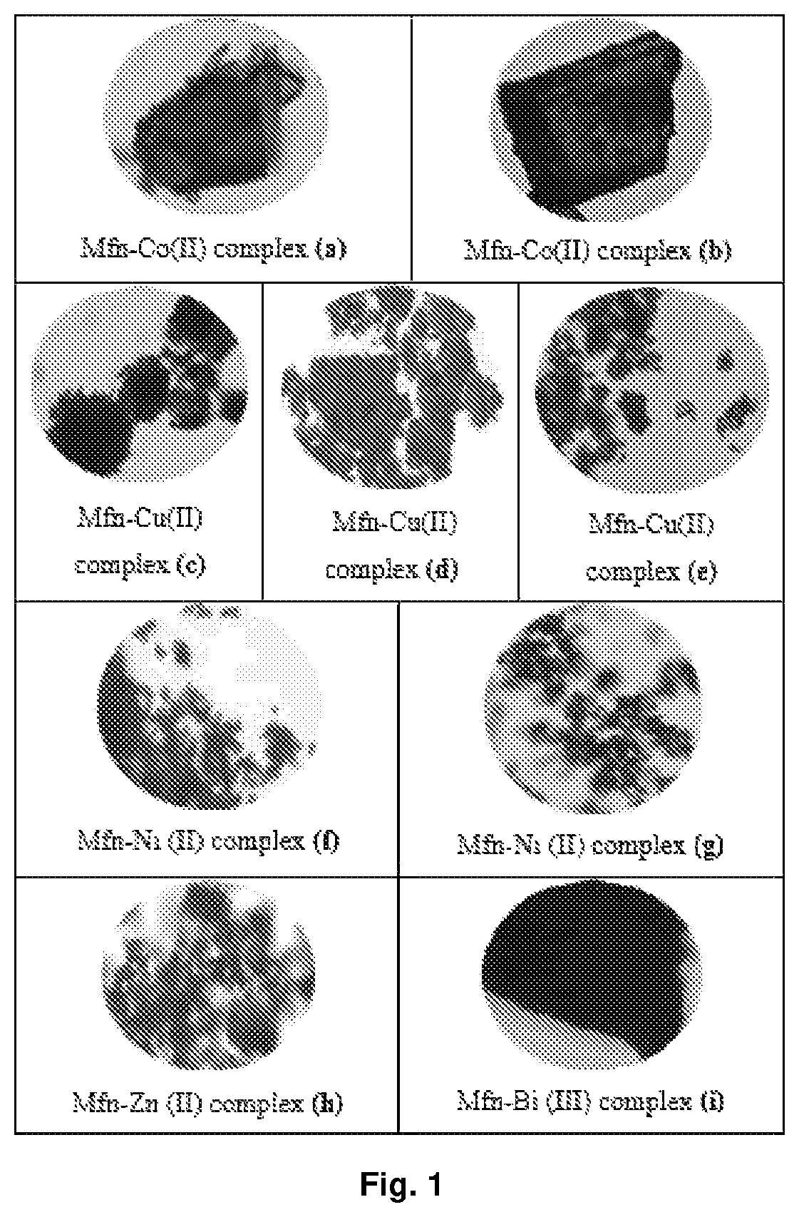 Patent US12351592 — Metformin complexes with transition metals and P group elements — Figure 1