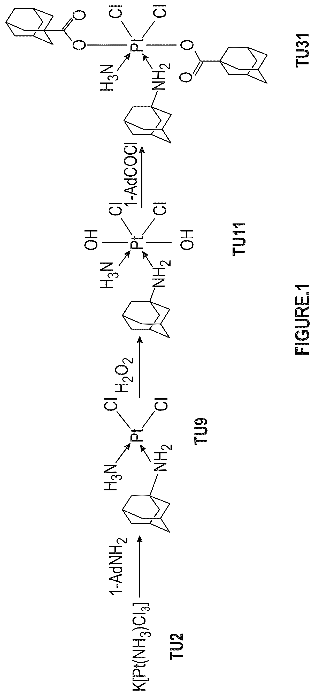 Patent US12351593 Figure 1 – Platinum IV complexes with substantially increased antitumor efficacy