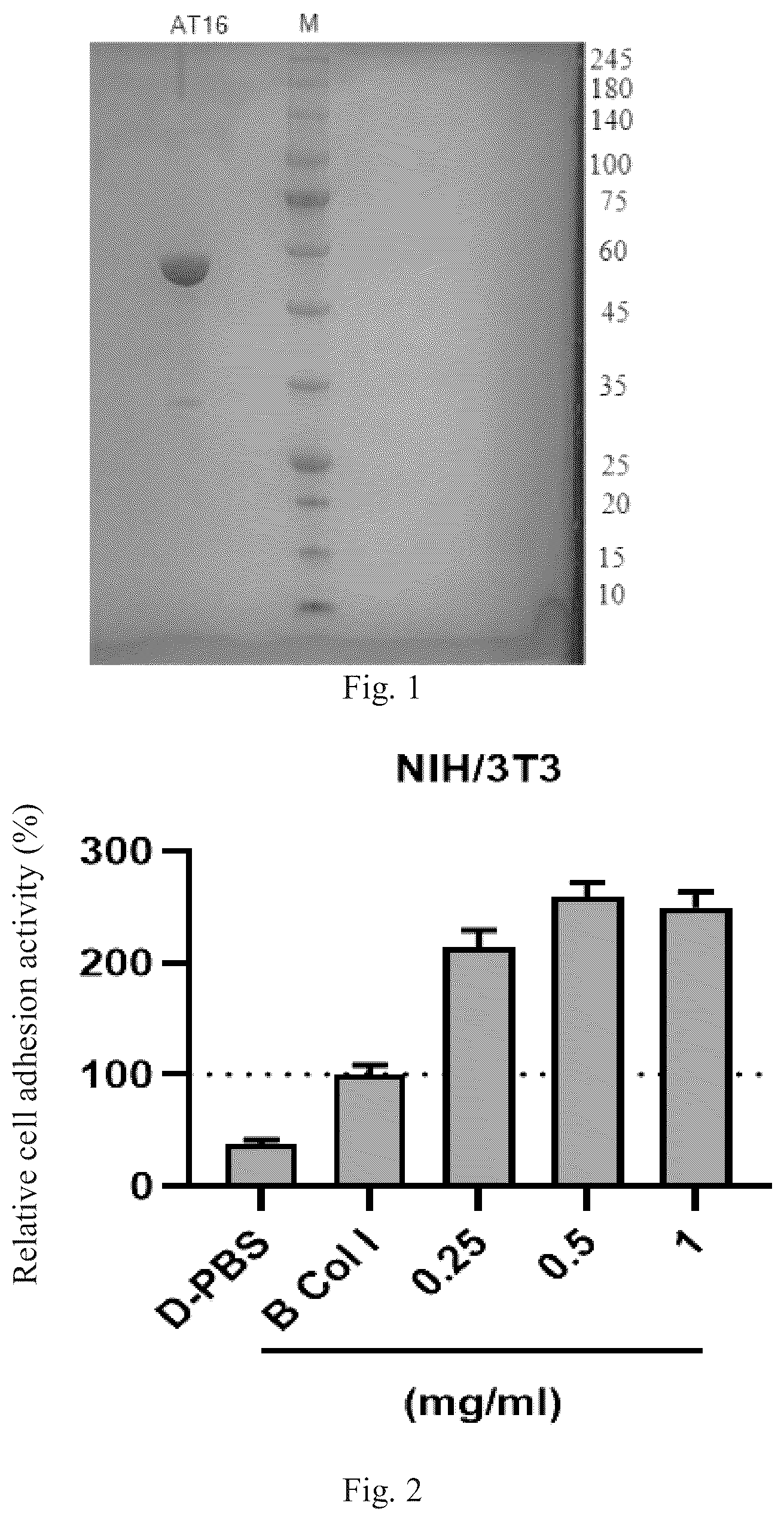 Patent US12351603 Figure 1 – Polypeptides and uses thereof