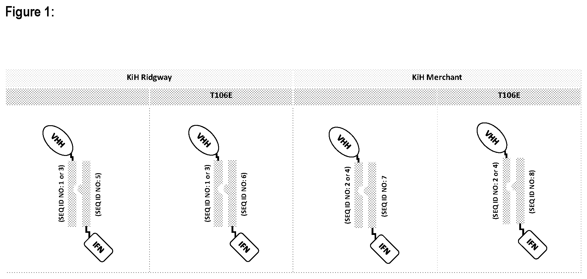 Patent US12351614 — CLEC9A-based chimeric protein complexes — Figure 1