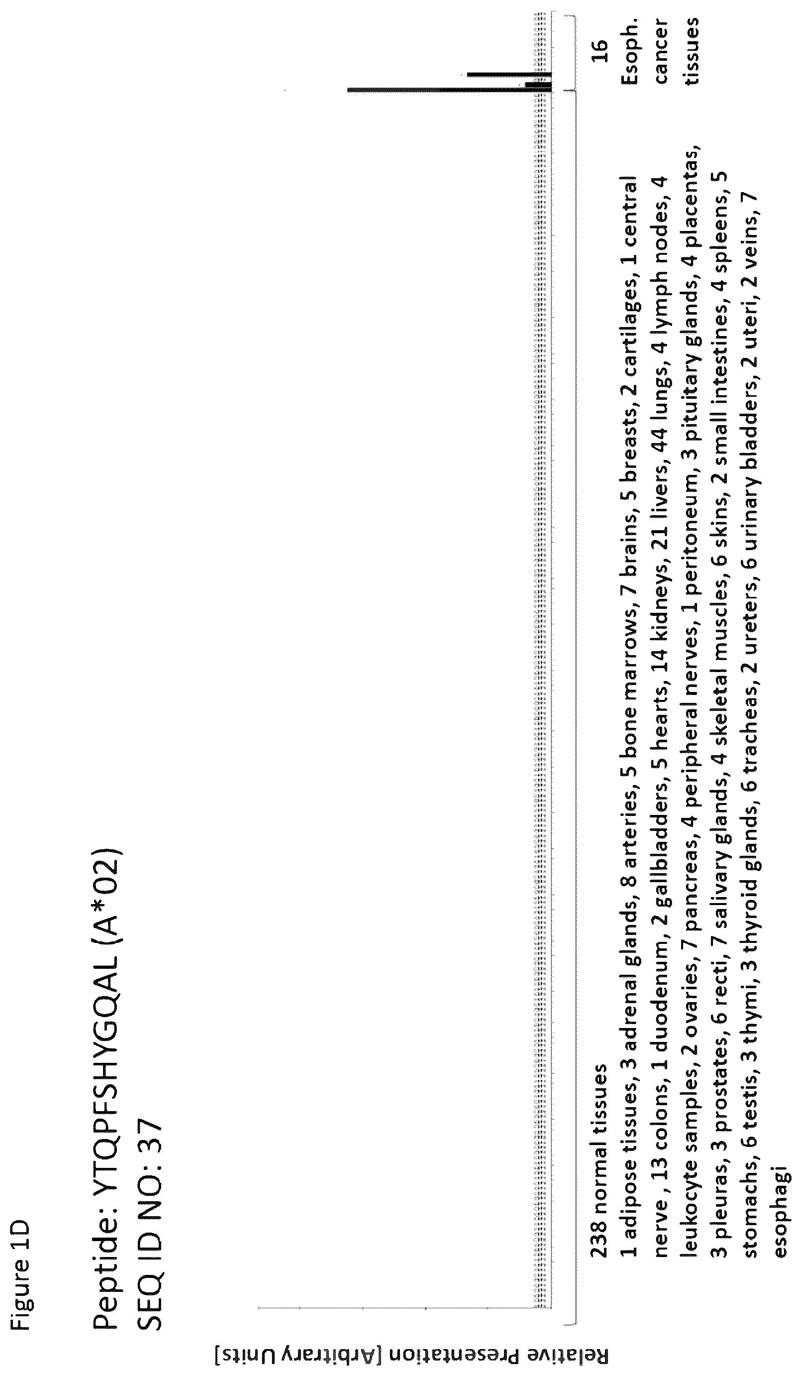 Patent US12351616 Figure 4 – Peptides and combination of peptides for use in immunotherapy against esophageal cancer and other cancers