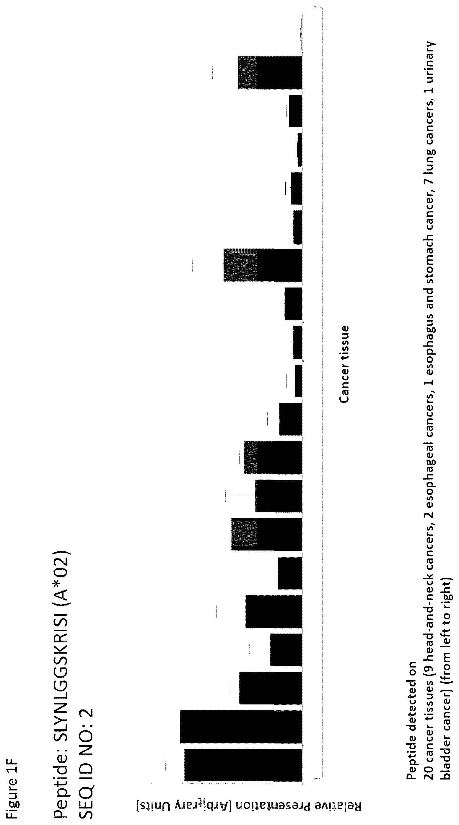 Patent US12351616 Figure 6 – Peptides and combination of peptides for use in immunotherapy against esophageal cancer and other cancers