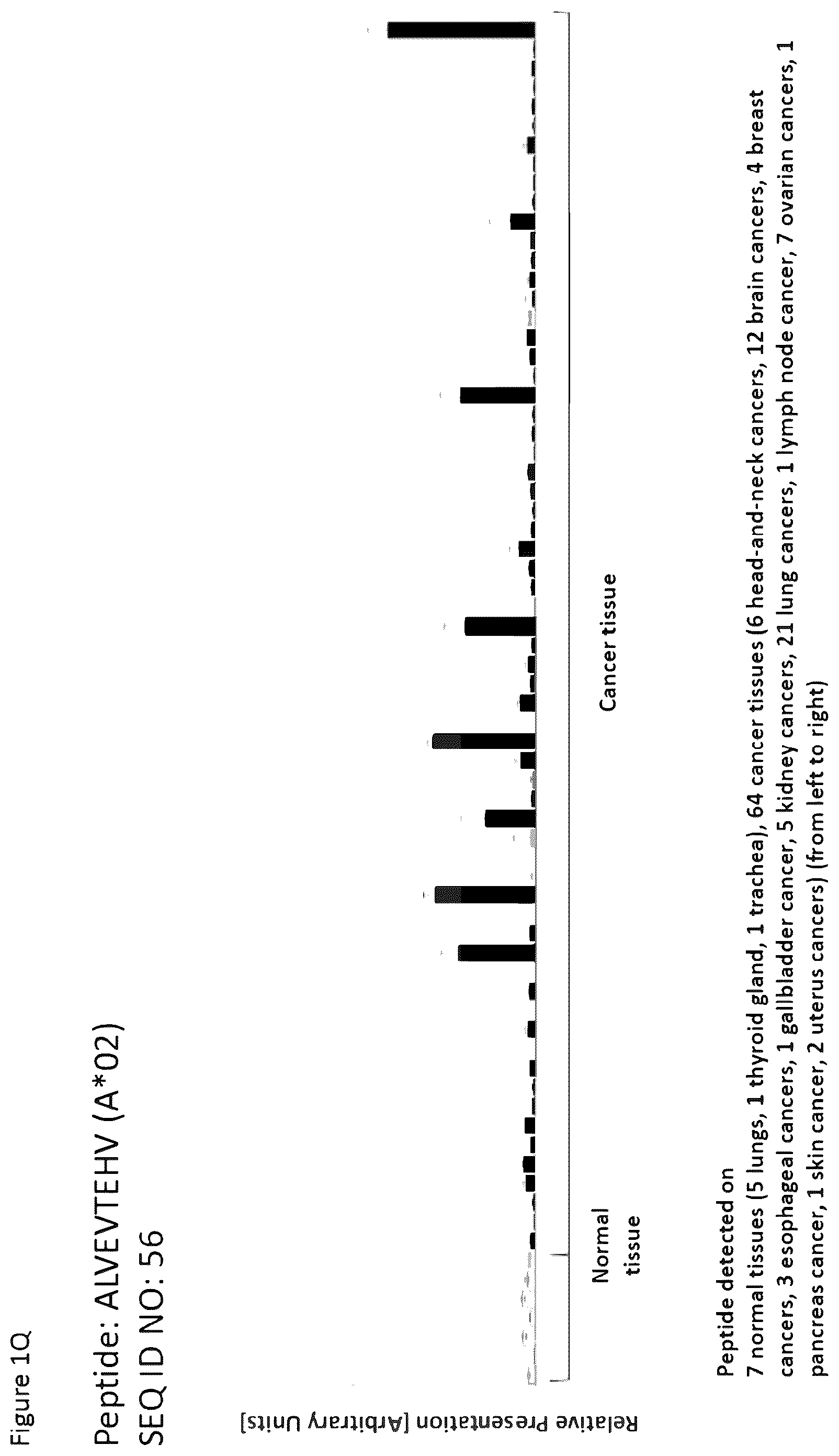 Patent US12351616 Figure 17 – Peptides and combination of peptides for use in immunotherapy against esophageal cancer and other cancers