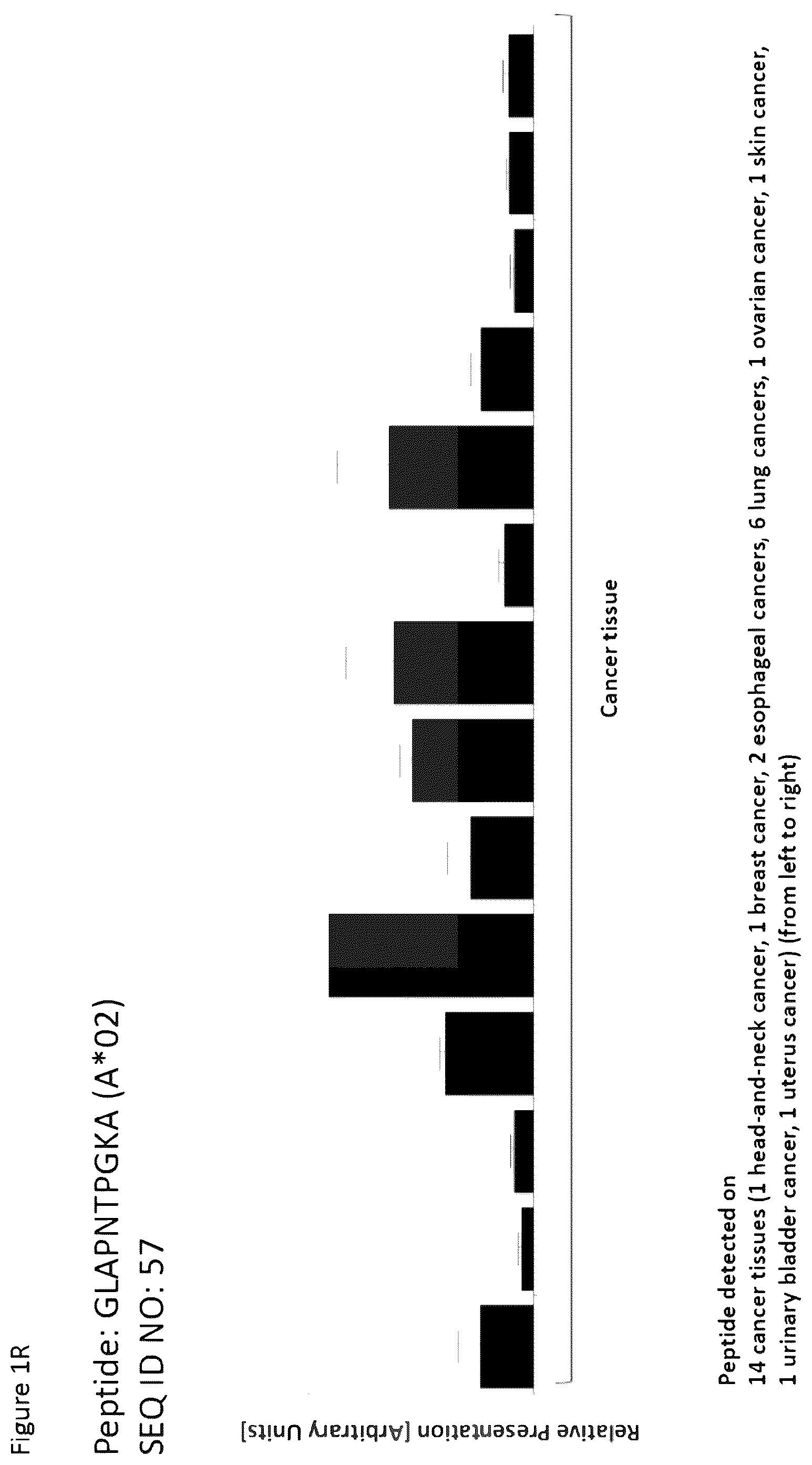 Patent US12351616 Figure 18 – Peptides and combination of peptides for use in immunotherapy against esophageal cancer and other cancers