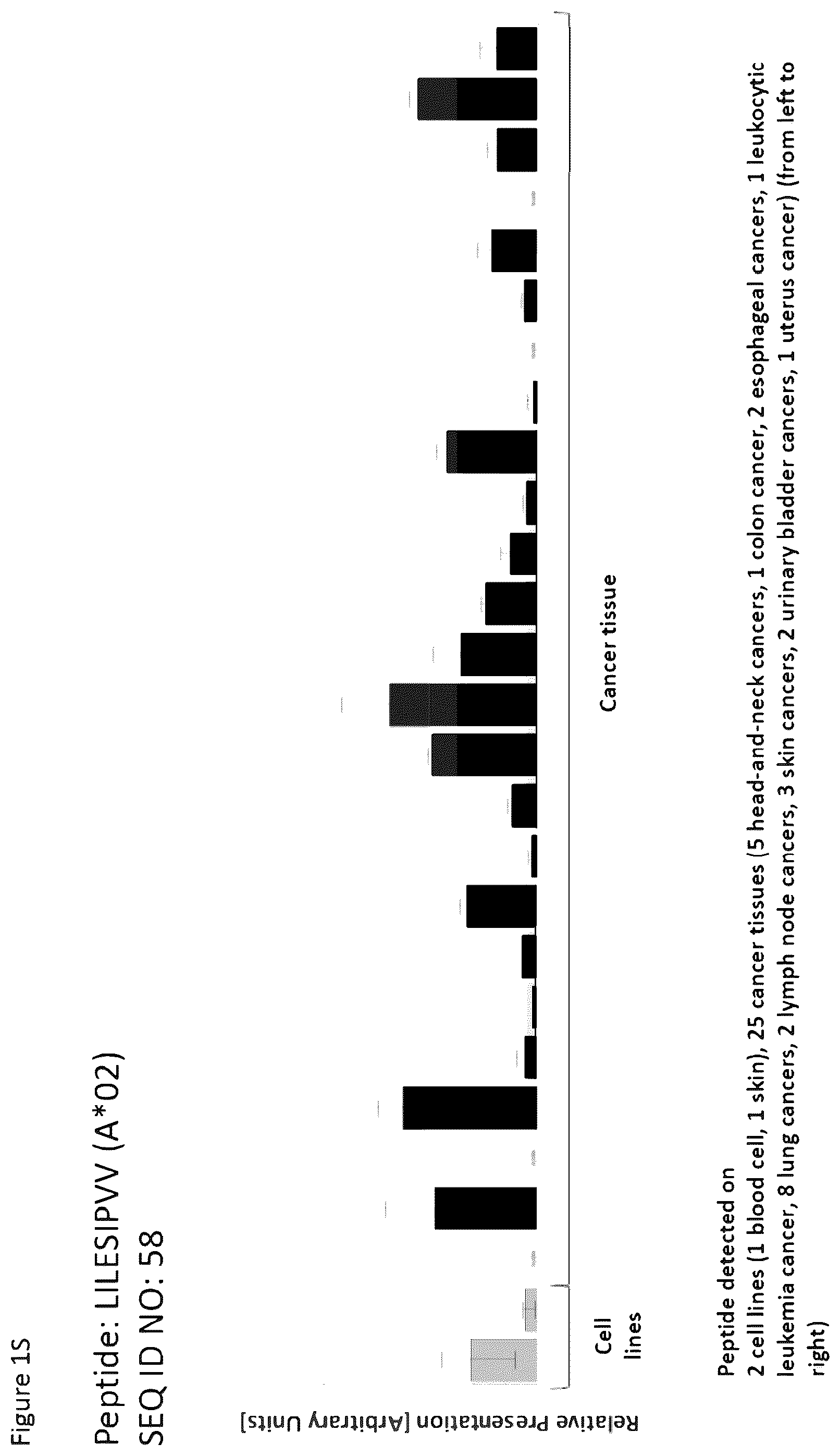 Patent US12351616 Figure 19 – Peptides and combination of peptides for use in immunotherapy against esophageal cancer and other cancers