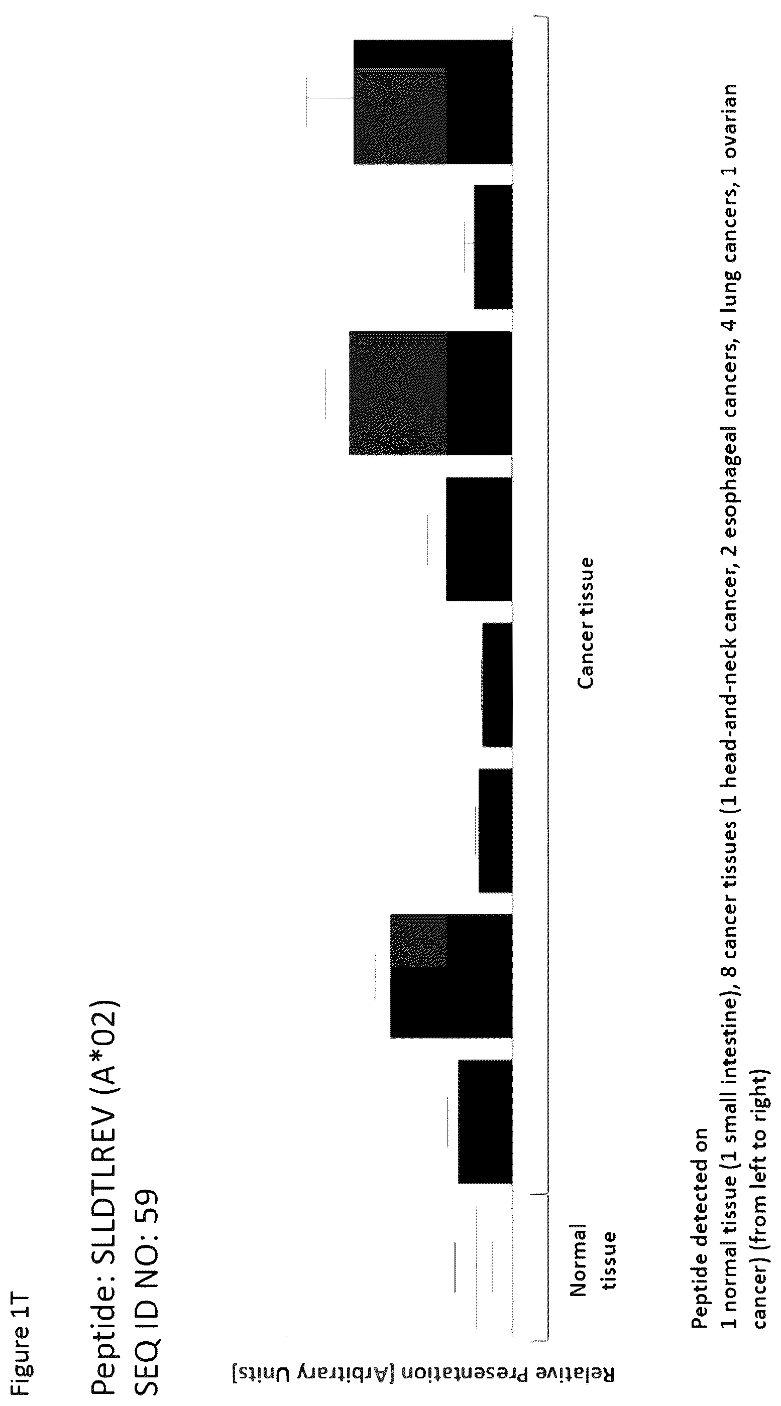 Patent US12351616 Figure 20 – Peptides and combination of peptides for use in immunotherapy against esophageal cancer and other cancers